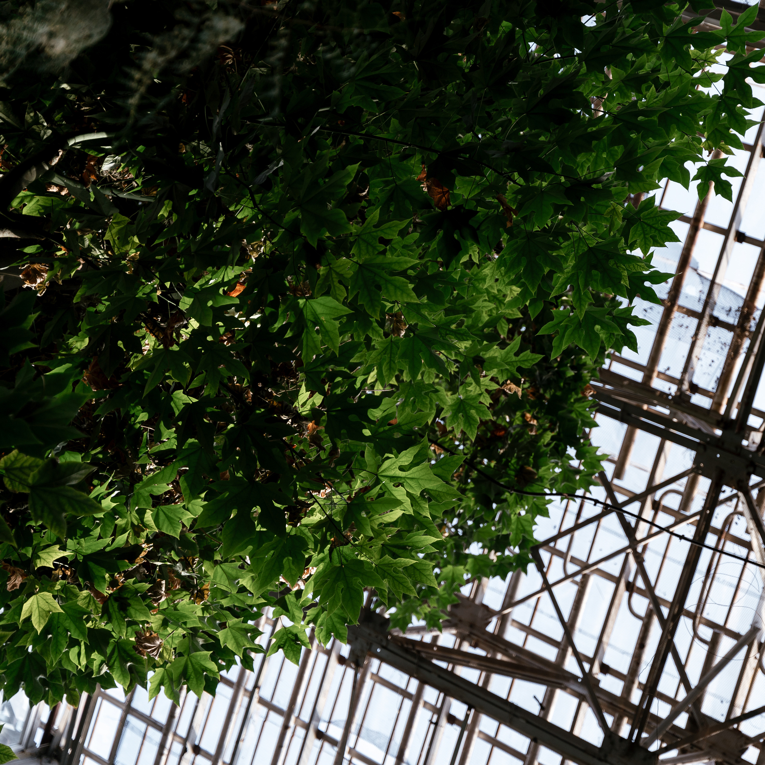 19.03.21 Матвей и Катя. Фотограф Томск, Новосибирск Влад Свириденко