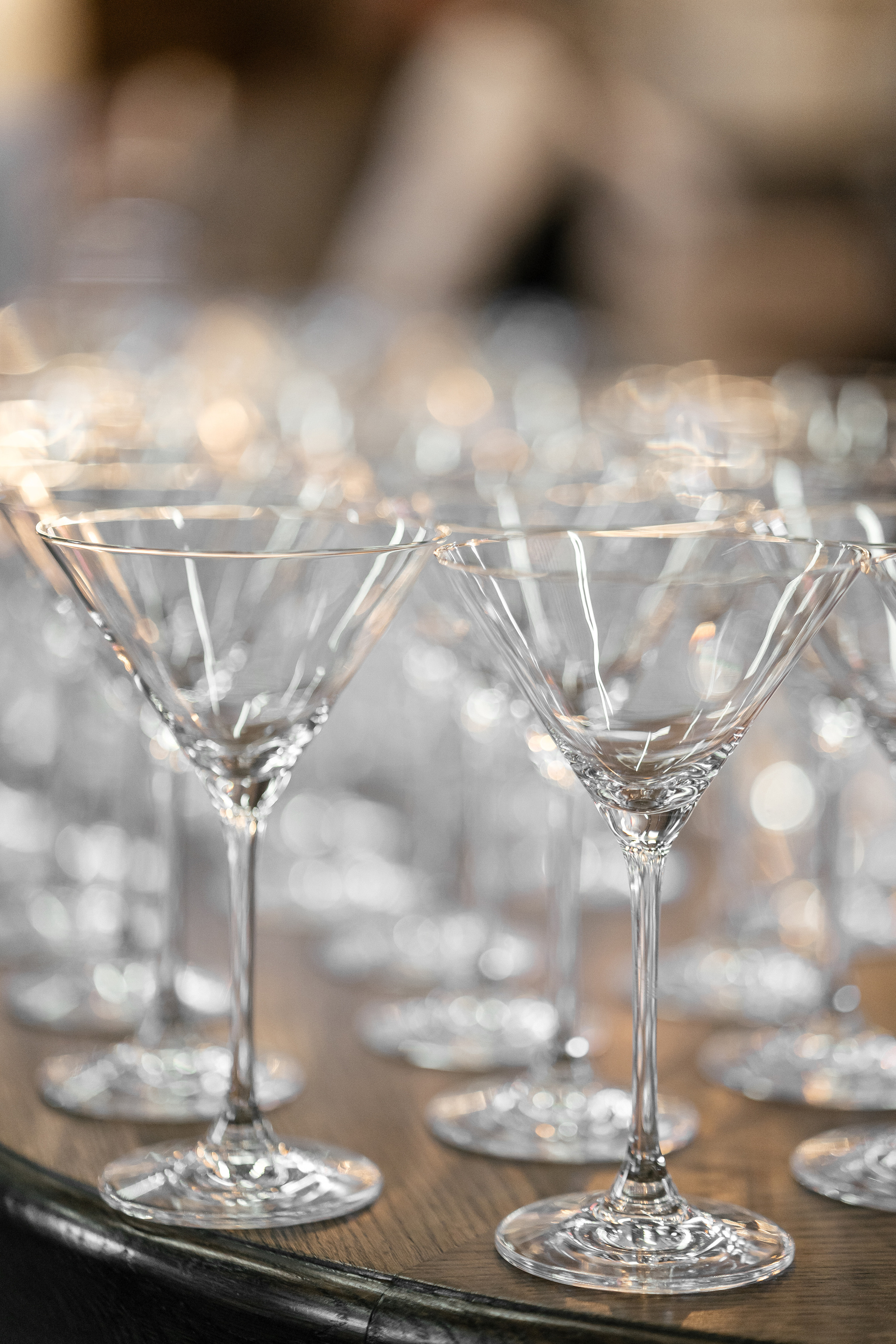 Снегири. Фотограф Томск, Новосибирск Влад Свириденко