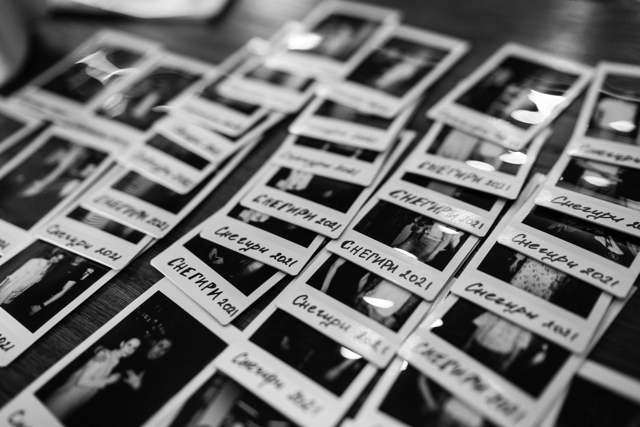 Снегири. Фотограф Томск, Новосибирск Влад Свириденко