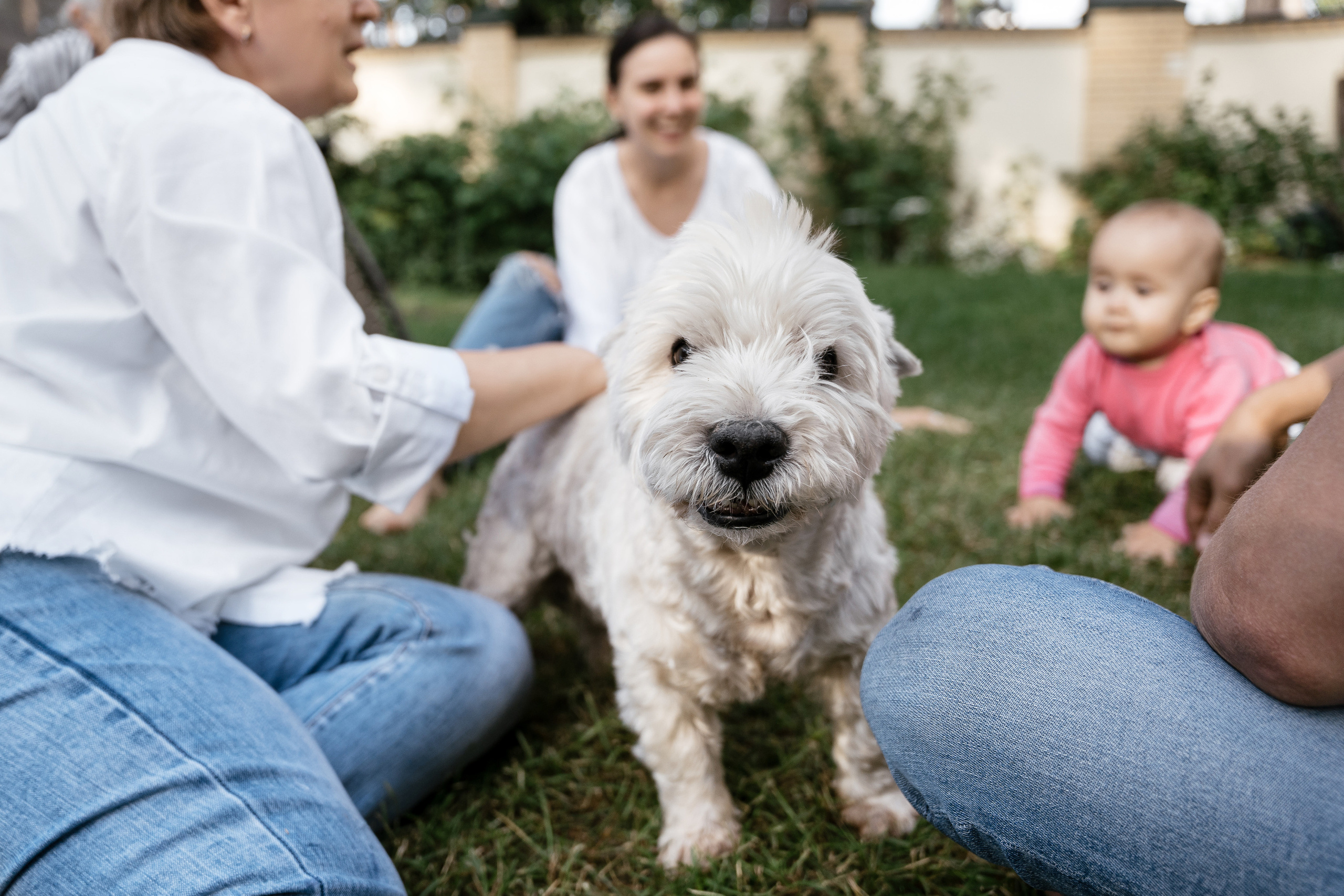 20.07.2021. Фотограф Томск, Новосибирск Влад Свириденко