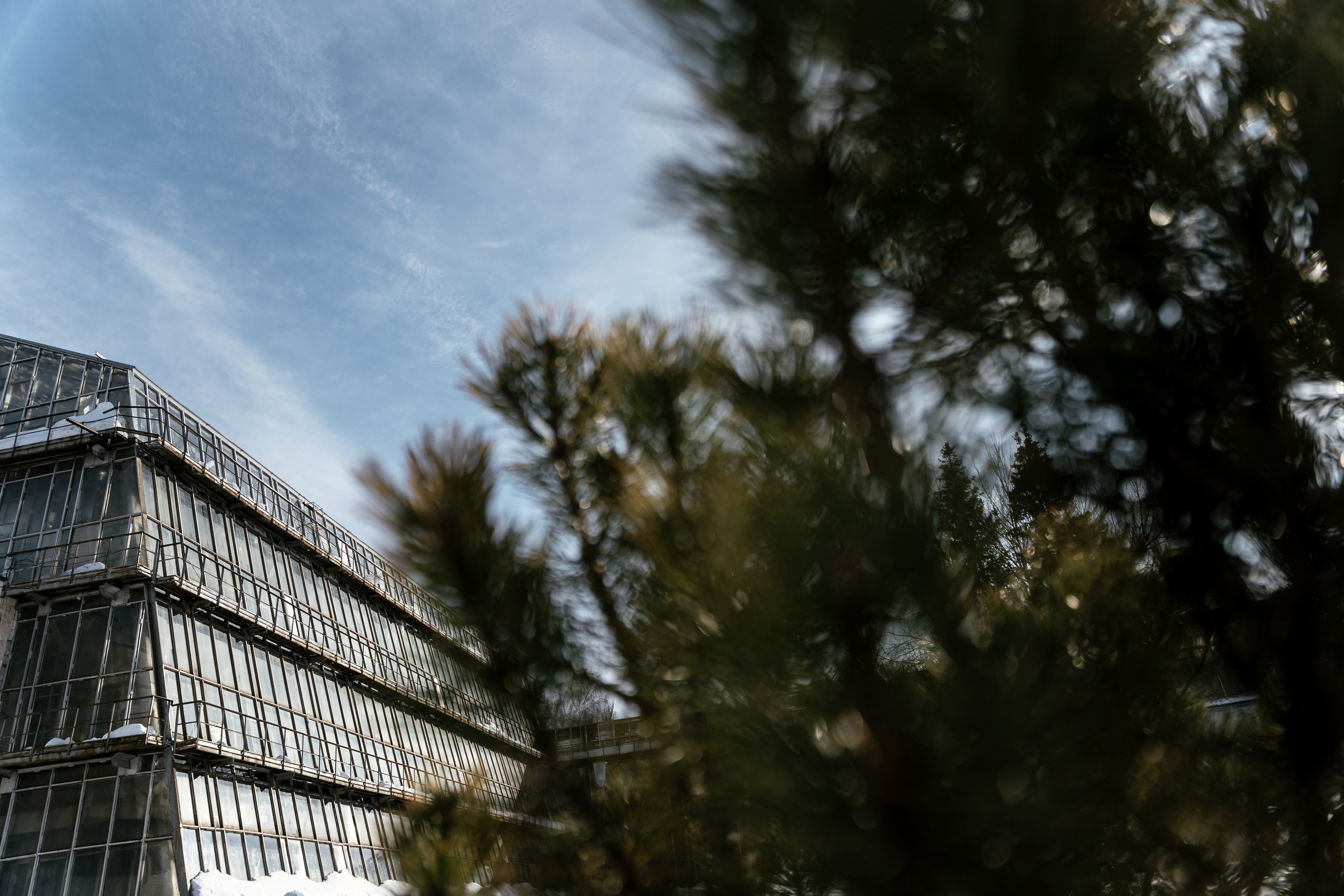 19.03.21 Матвей и Катя. Фотограф Томск, Новосибирск Влад Свириденко