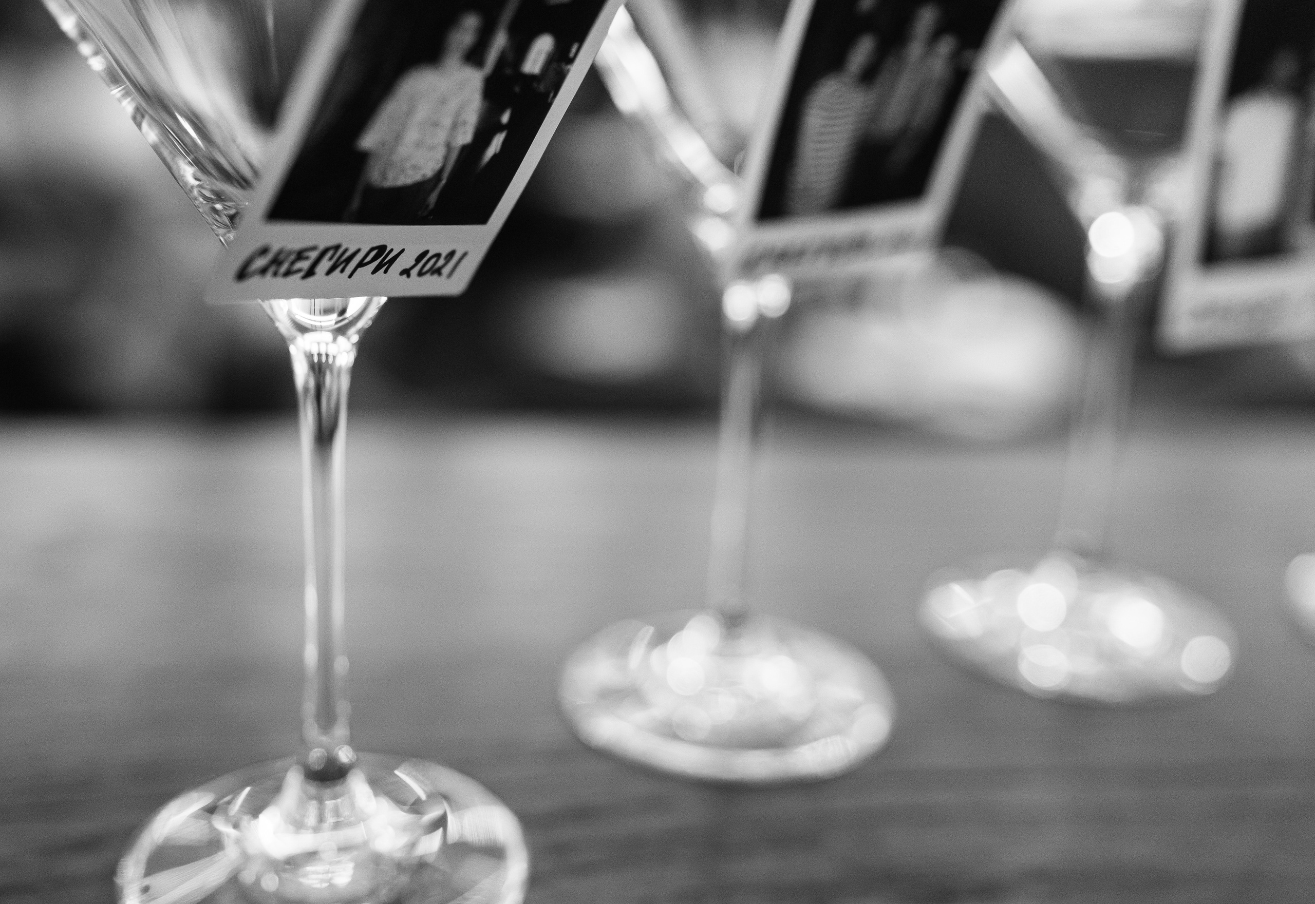 Снегири. Фотограф Томск, Новосибирск Влад Свириденко