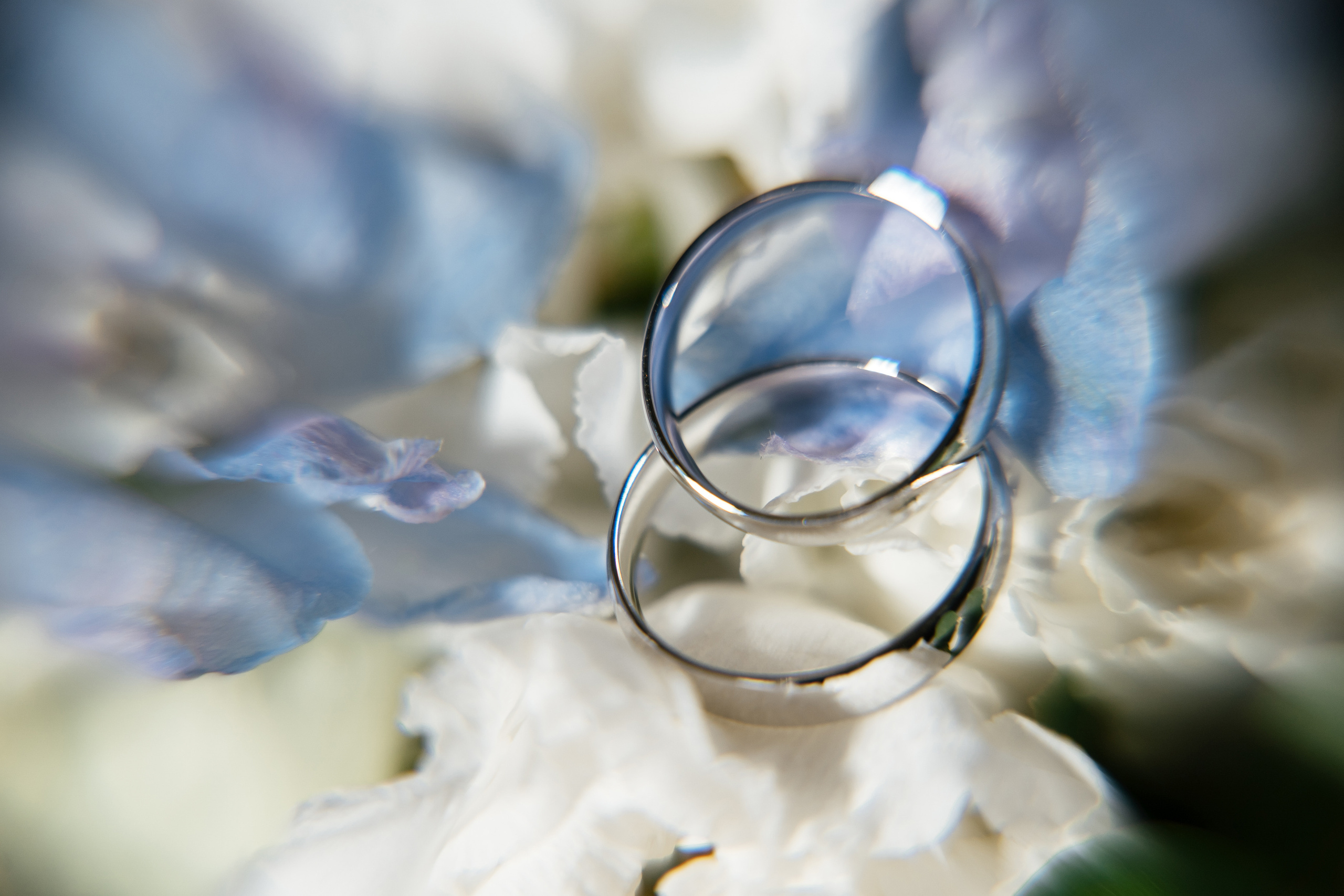 19.06.2021 Wedding day for guests. Фотограф Томск, Новосибирск Влад Свириденко