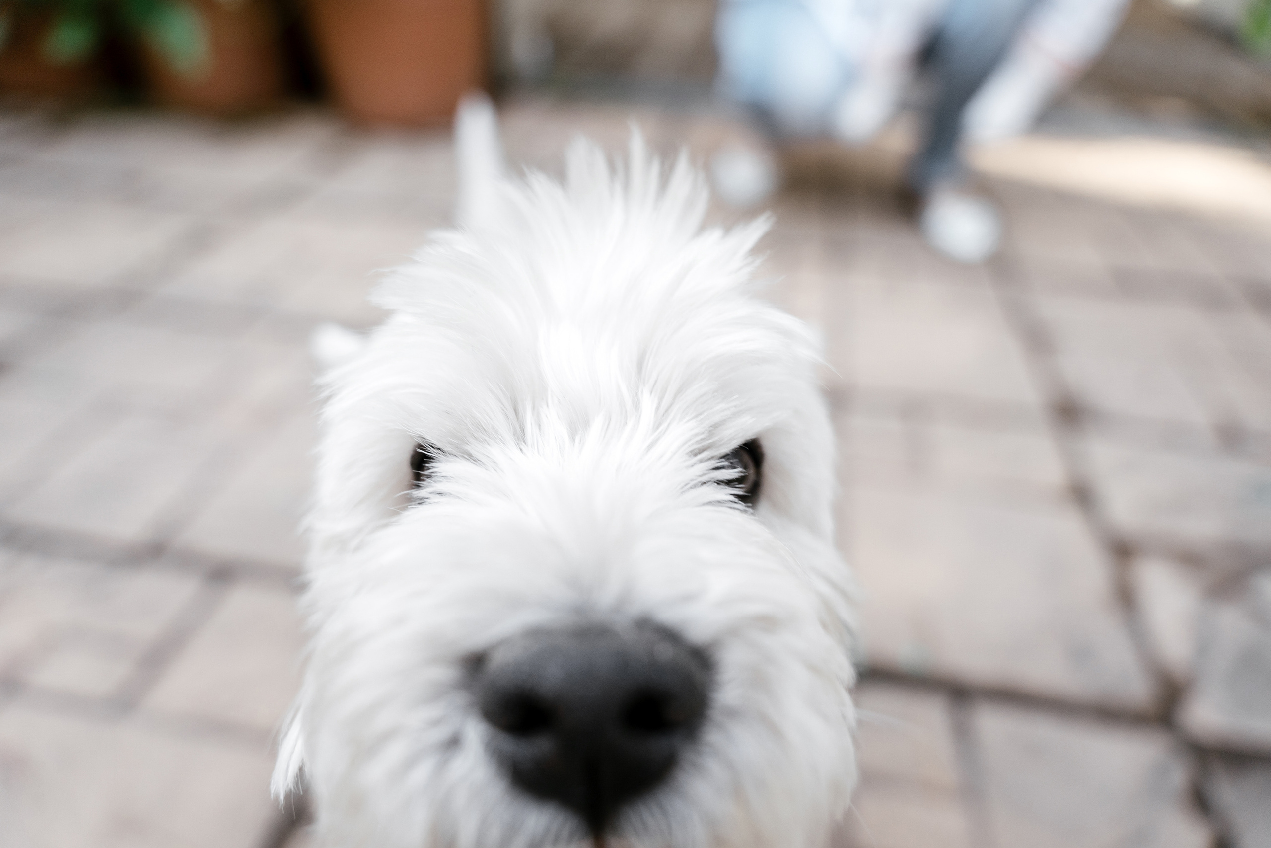 20.07.2021. Фотограф Томск, Новосибирск Влад Свириденко