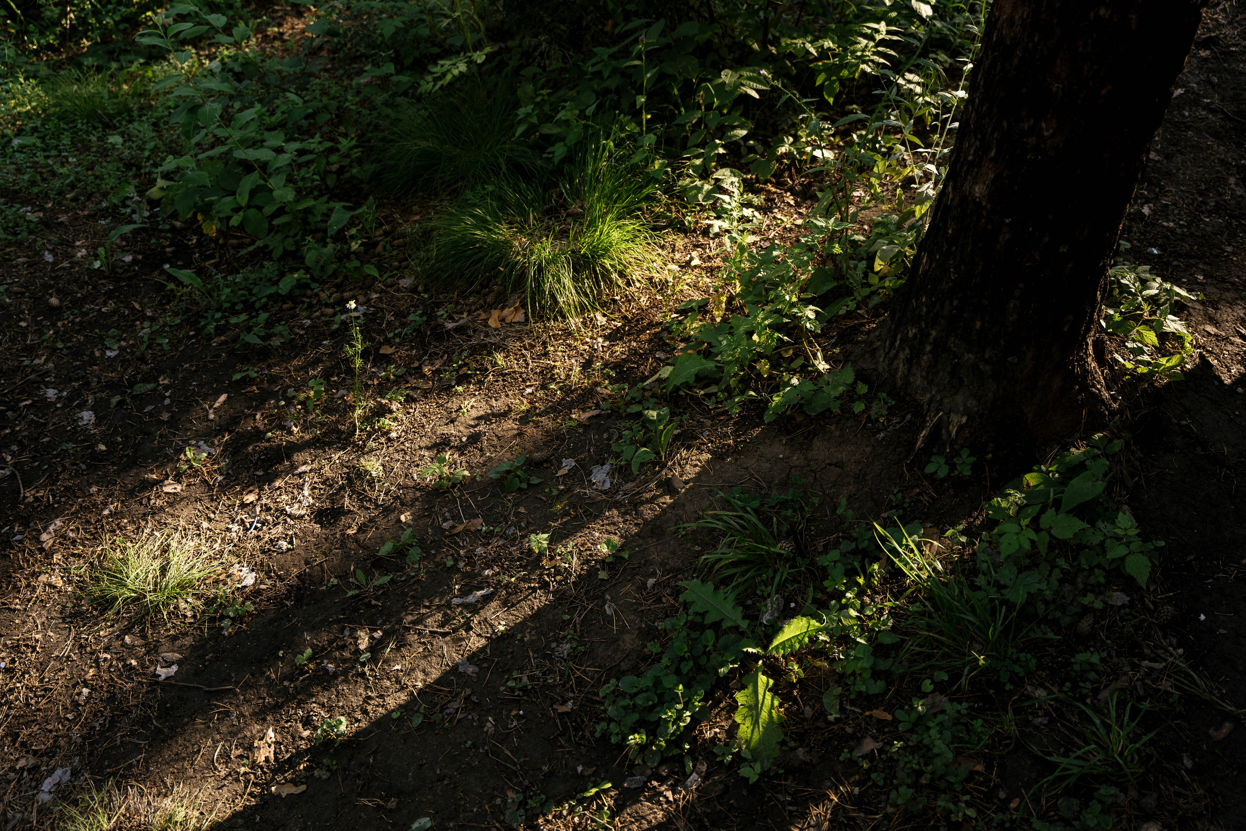 Boy or Girl. Фотограф Томск, Новосибирск Влад Свириденко