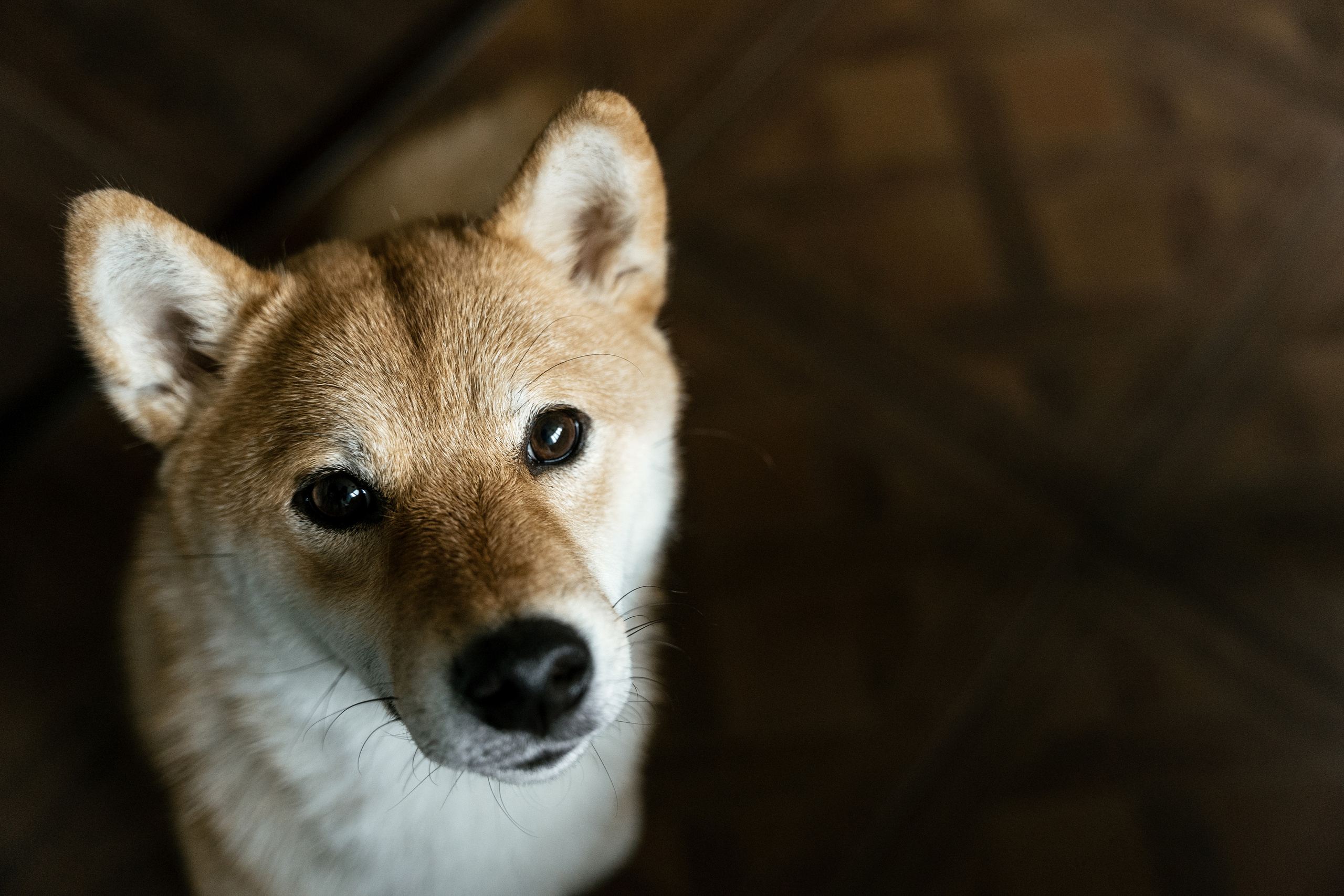 1+1=3. Фотограф Томск, Новосибирск Влад Свириденко