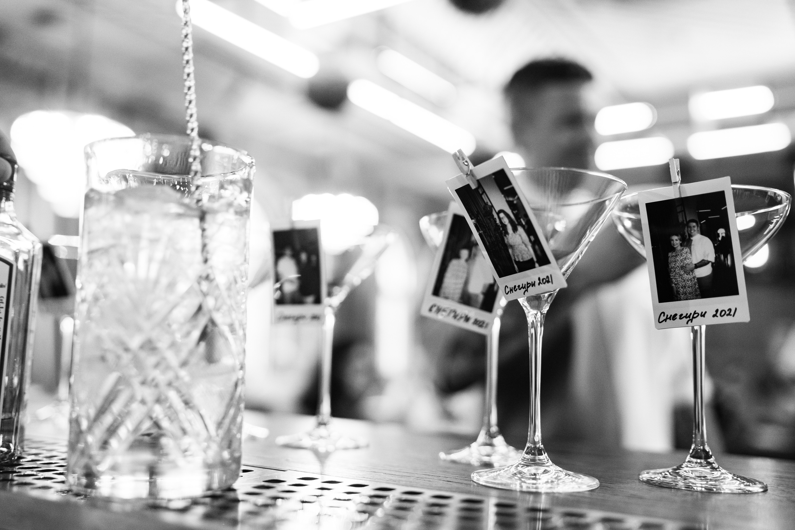 Снегири. Фотограф Томск, Новосибирск Влад Свириденко