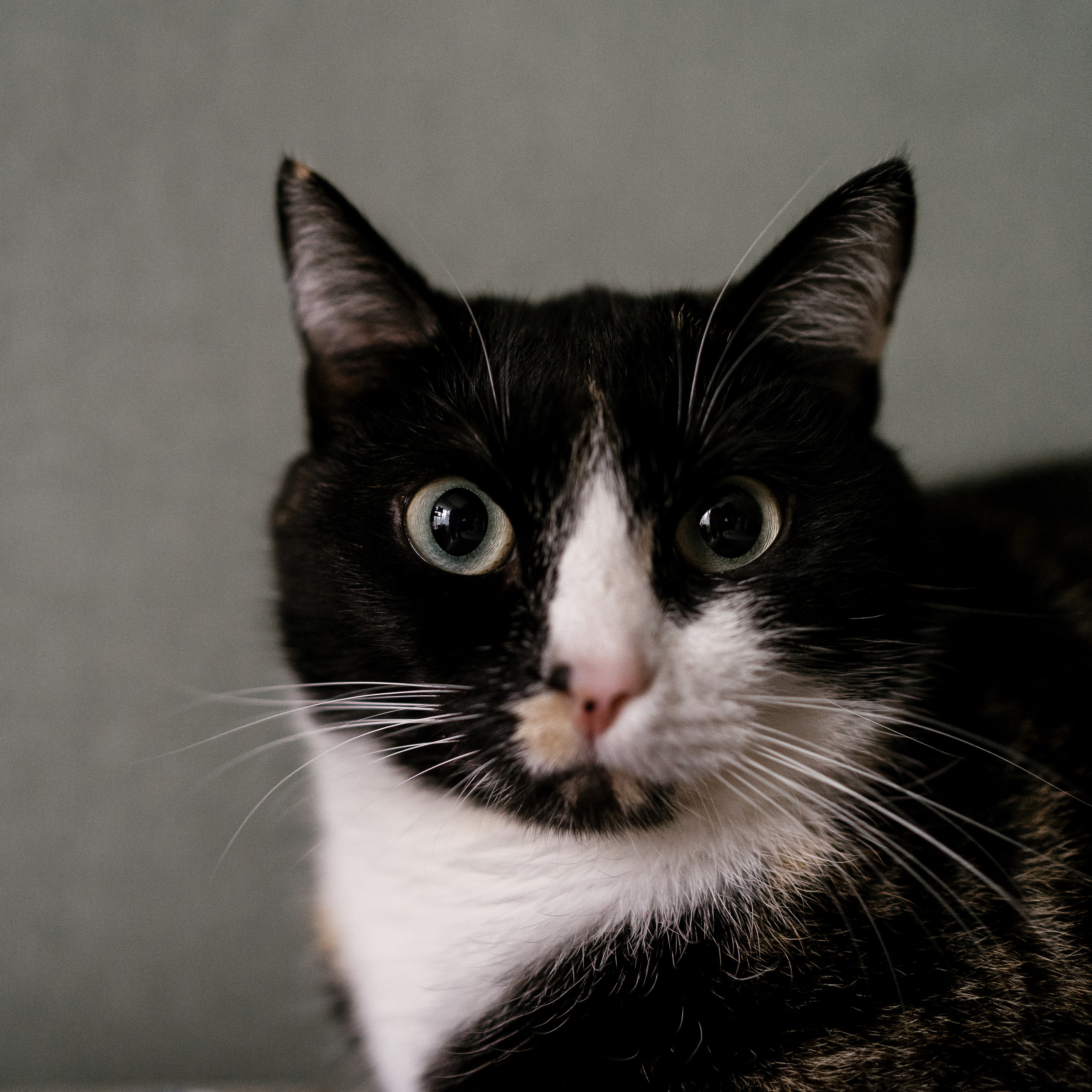 21.06.2021 Family. Фотограф Томск, Новосибирск Влад Свириденко