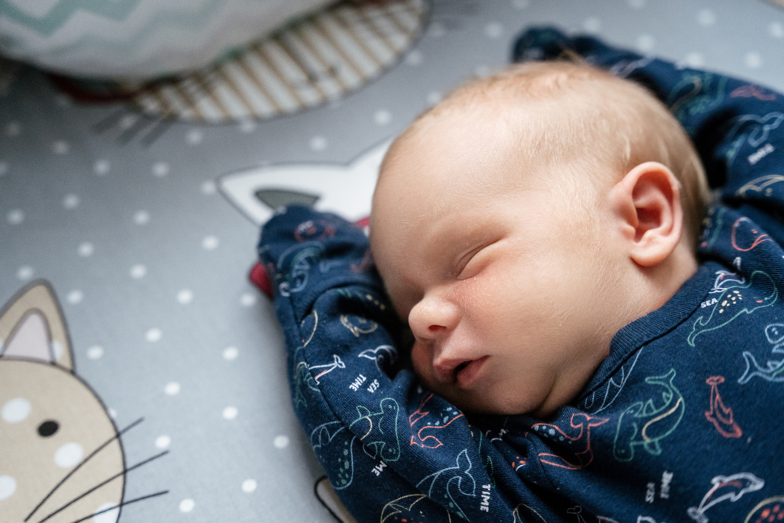 1+1=3. Фотограф Томск, Новосибирск Влад Свириденко