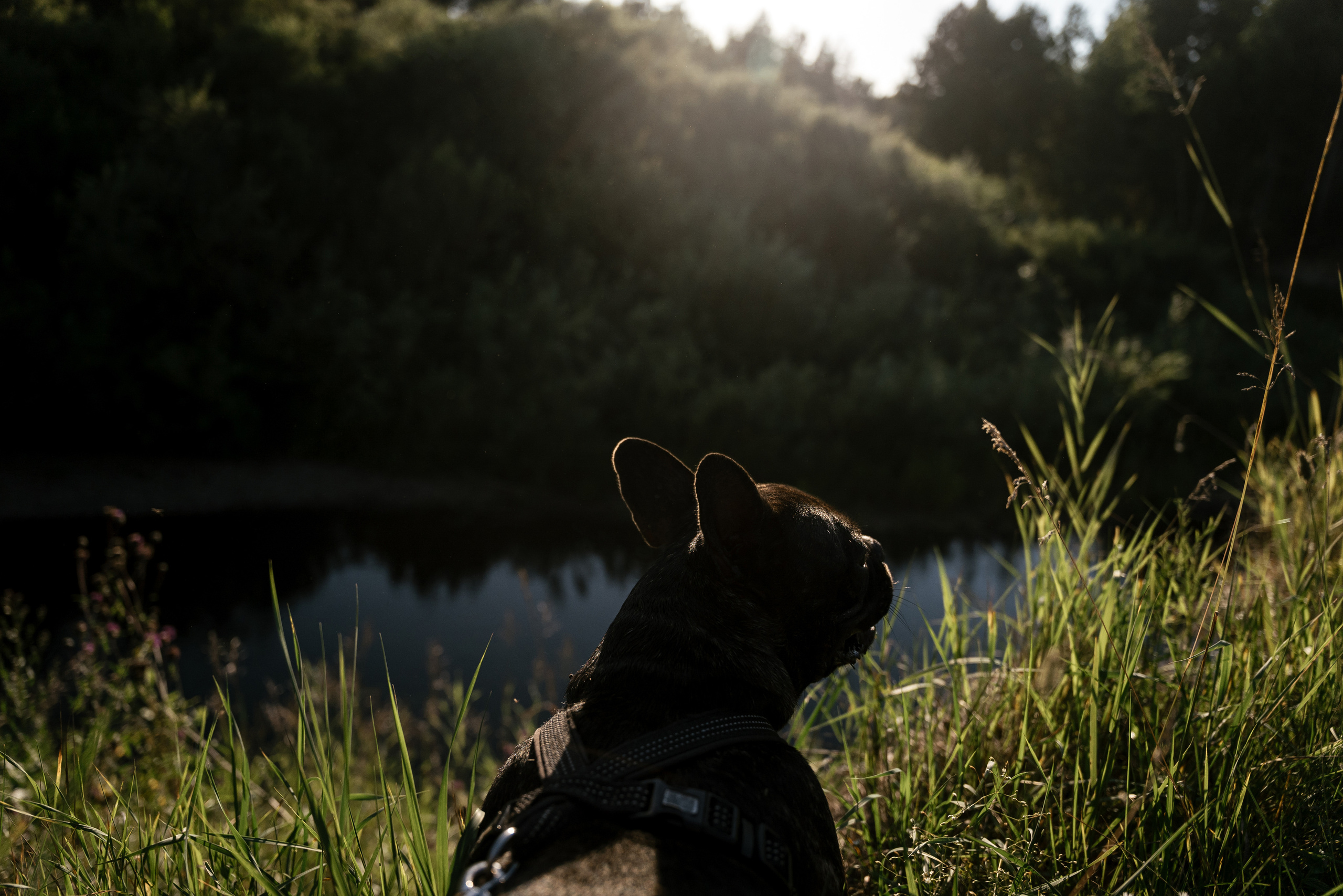 01.08.2021 Family. Фотограф Томск, Новосибирск Влад Свириденко
