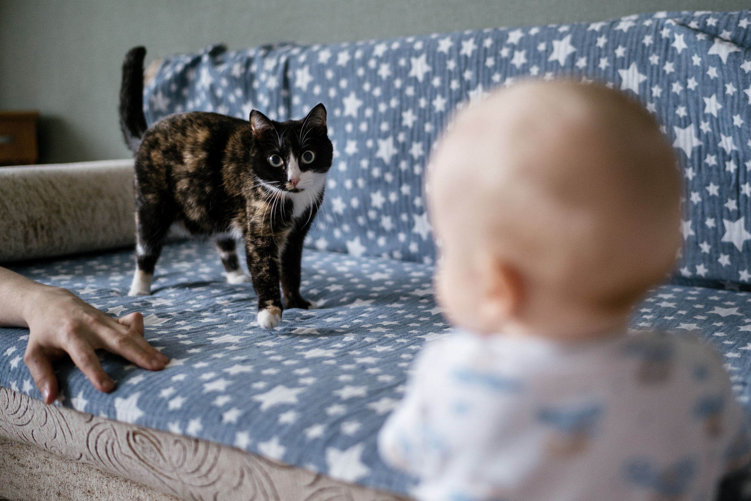 21.06.2021 Family. Фотограф Томск, Новосибирск Влад Свириденко