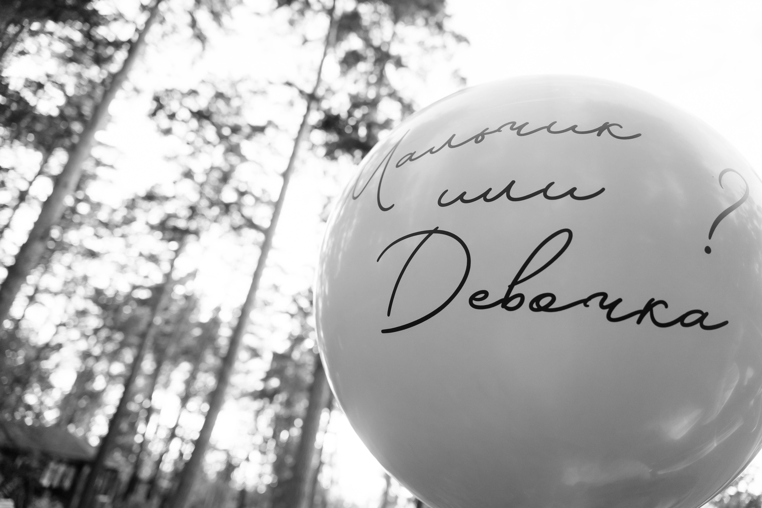 Boy or Girl. Фотограф Томск, Новосибирск Влад Свириденко