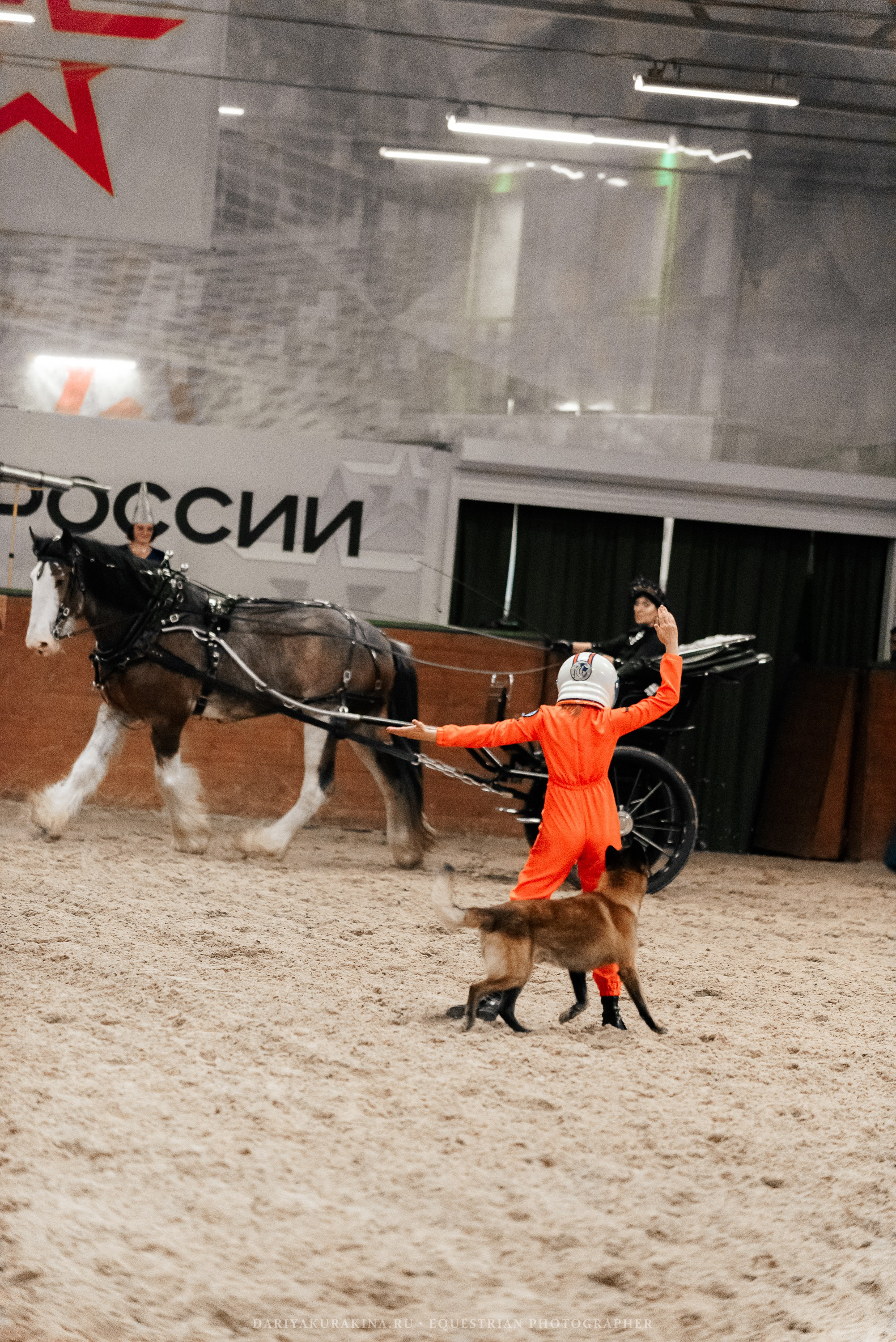 Конное представление «Дыхание Звёзд». Конный фотограф Куракина Дарья • Фотосессии с лошадьми