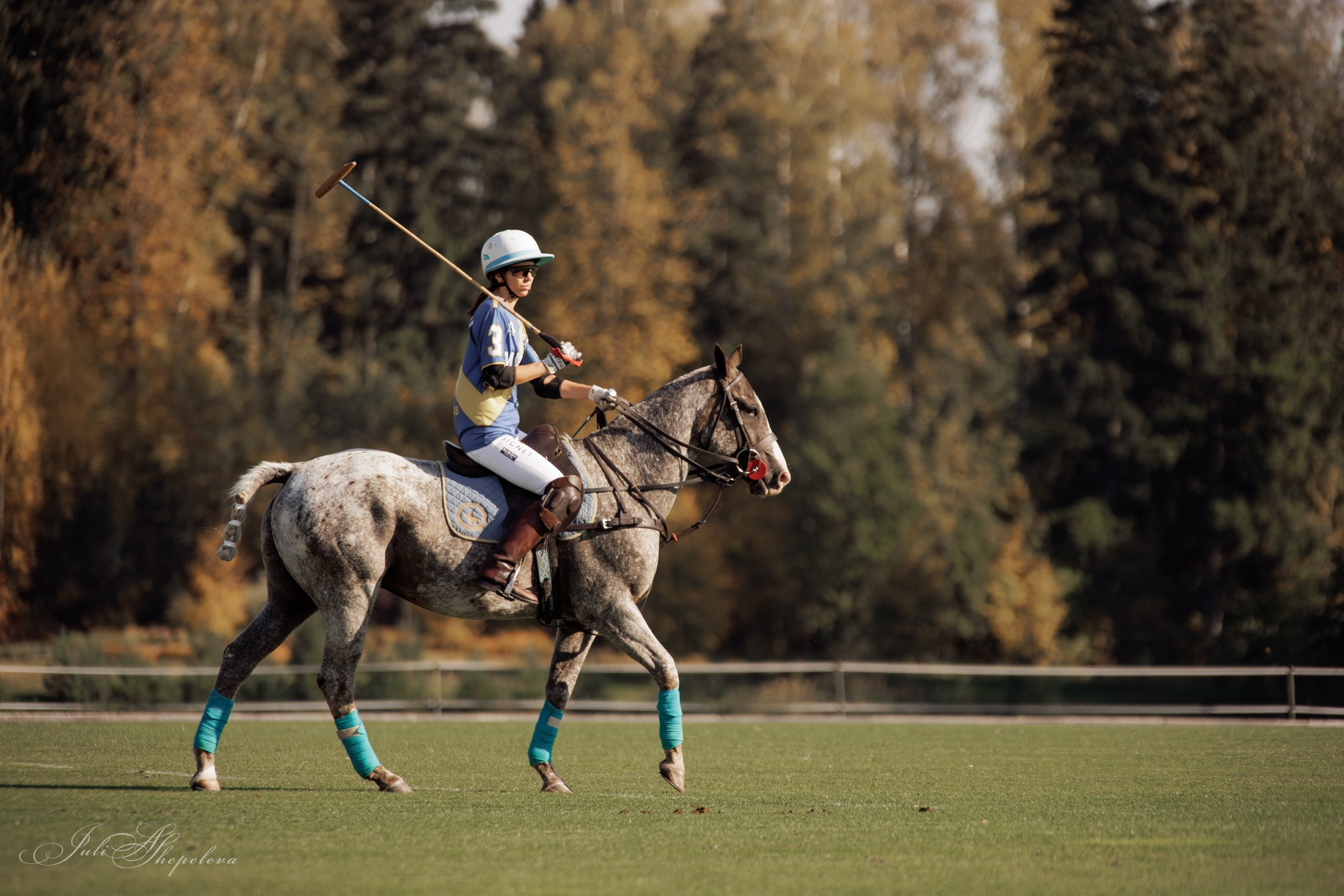 Осенний кубок по конному поло. Детская Конная фотография в Москве Юлия Шепелева