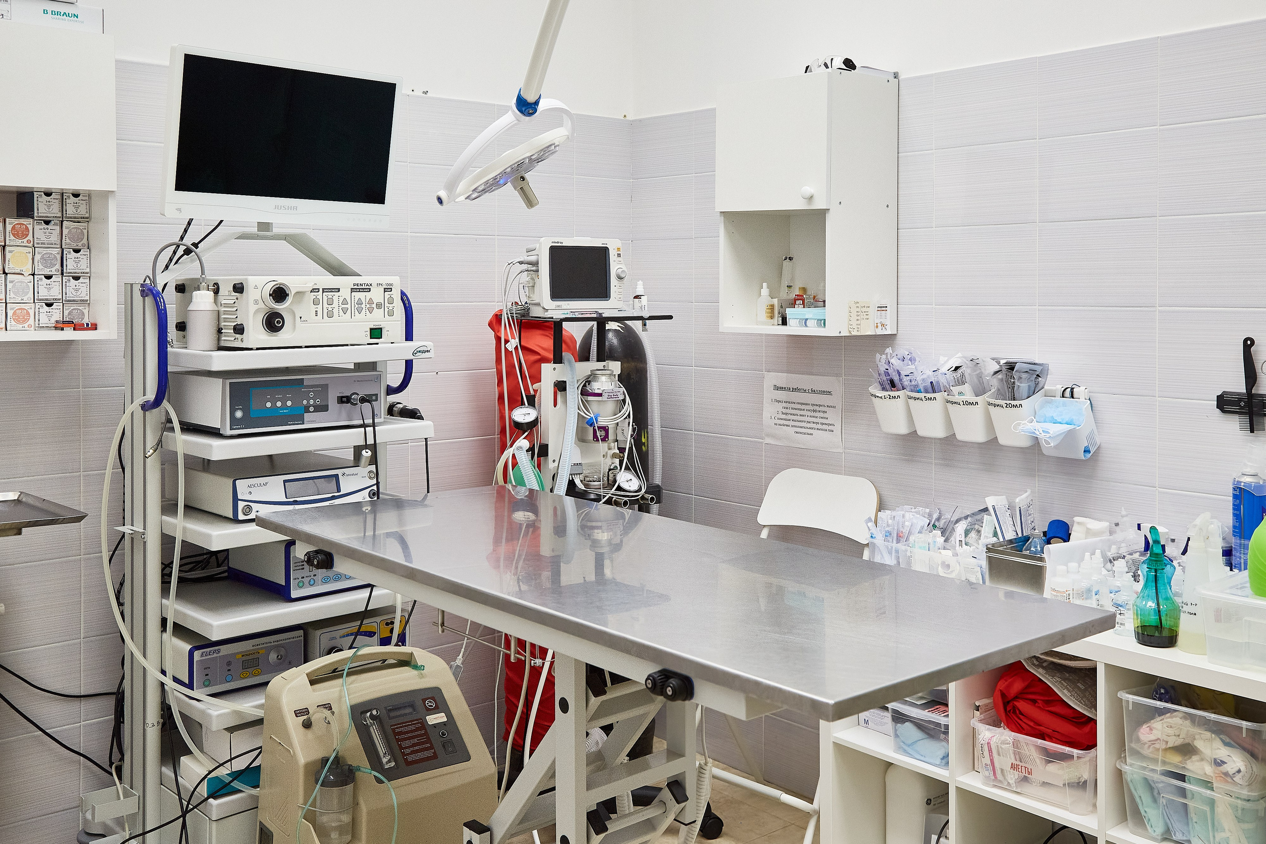 Ветеринарная клиника Косточка на Дальневосточном пр. Фотограф Анастасия Леонтьева Санкт-Петербург