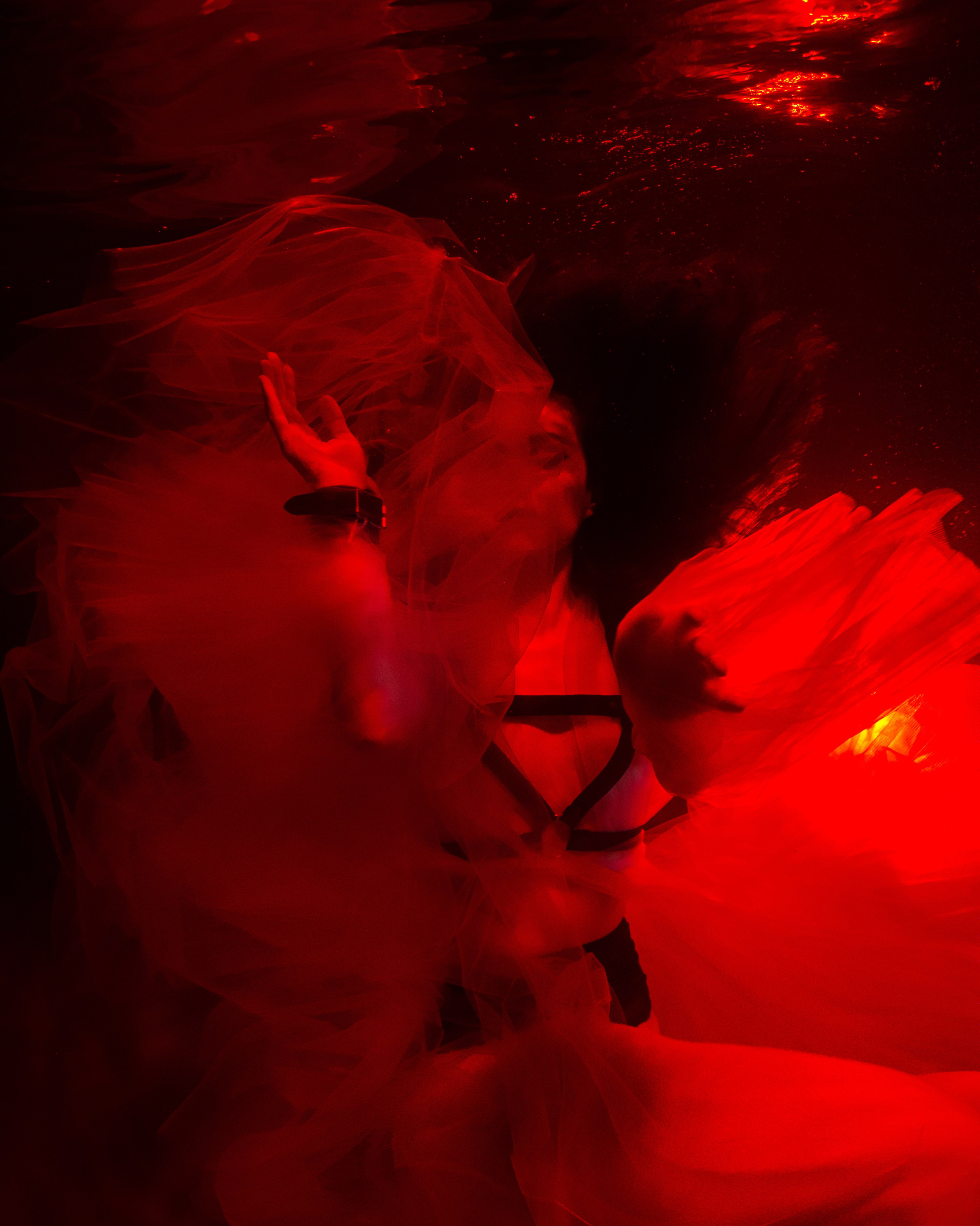 Аква общая. Марковкина КрисТина