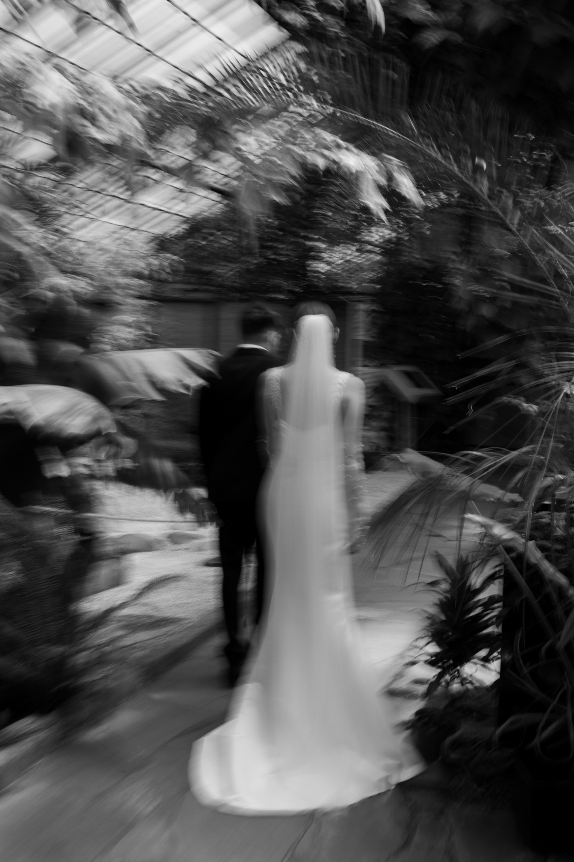 Алексей и Алина (полный день). Свадебный фотограф