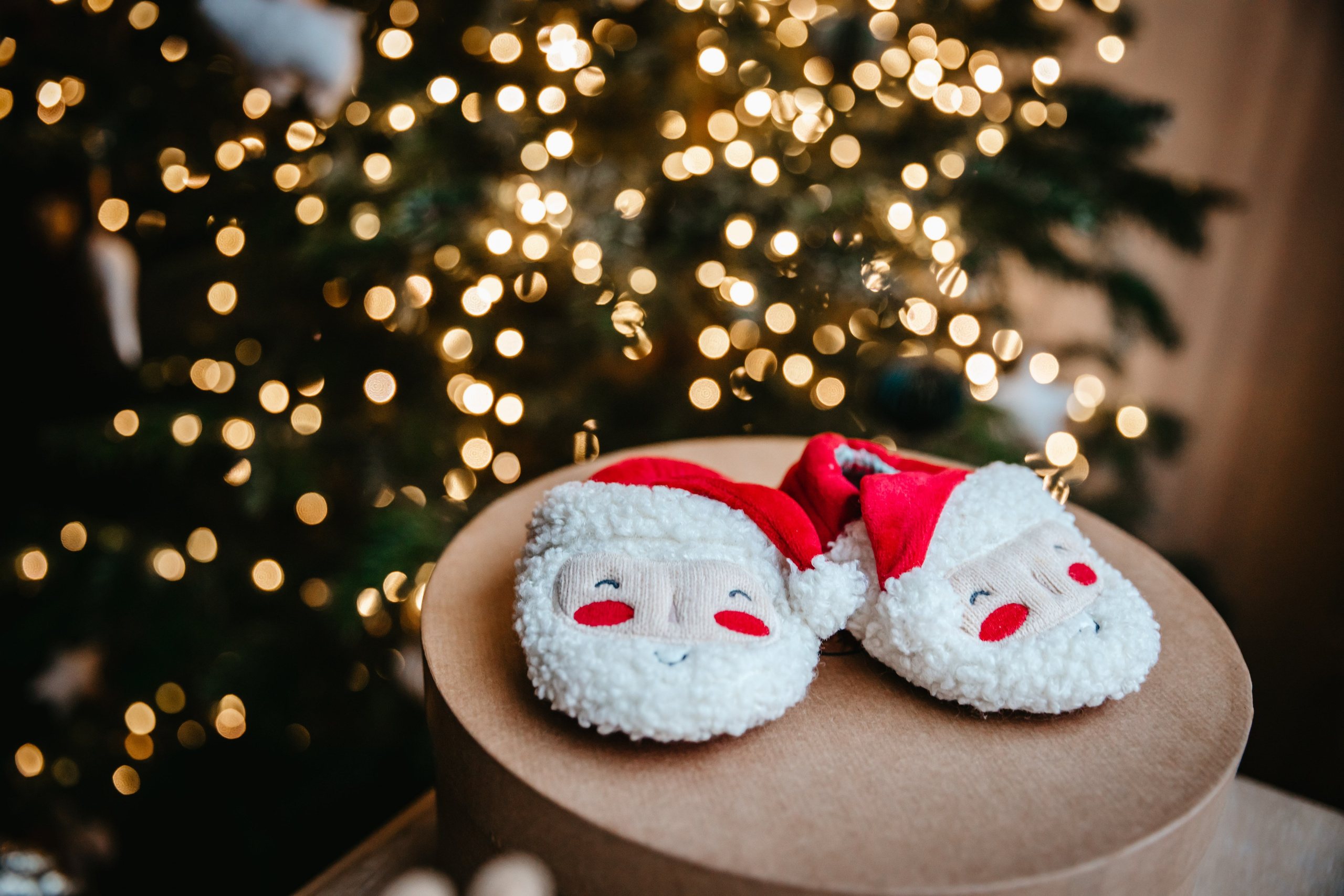 Новогодняя история. Евгения Пелипас