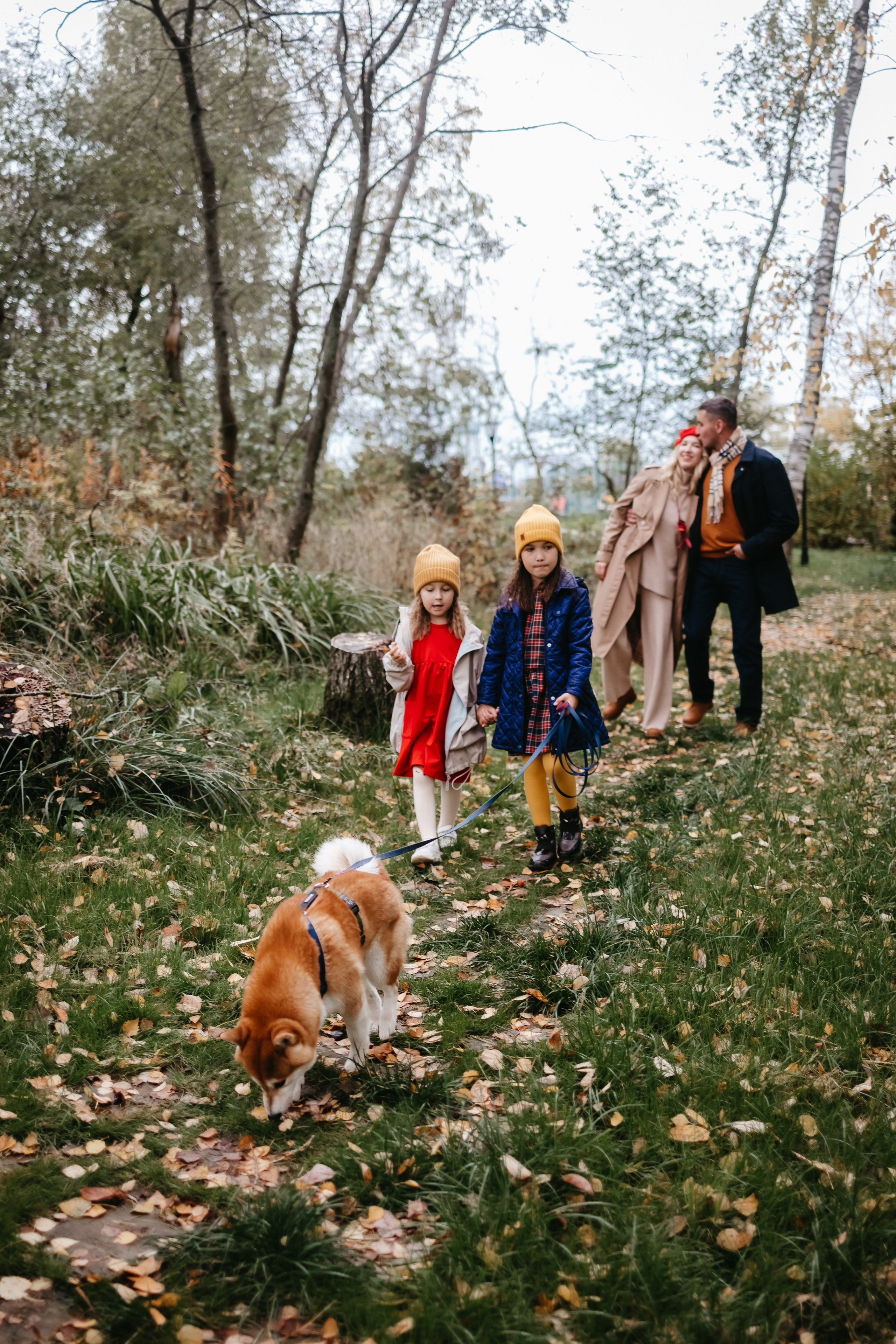 ОСЕНЬ. Евгения Пелипас