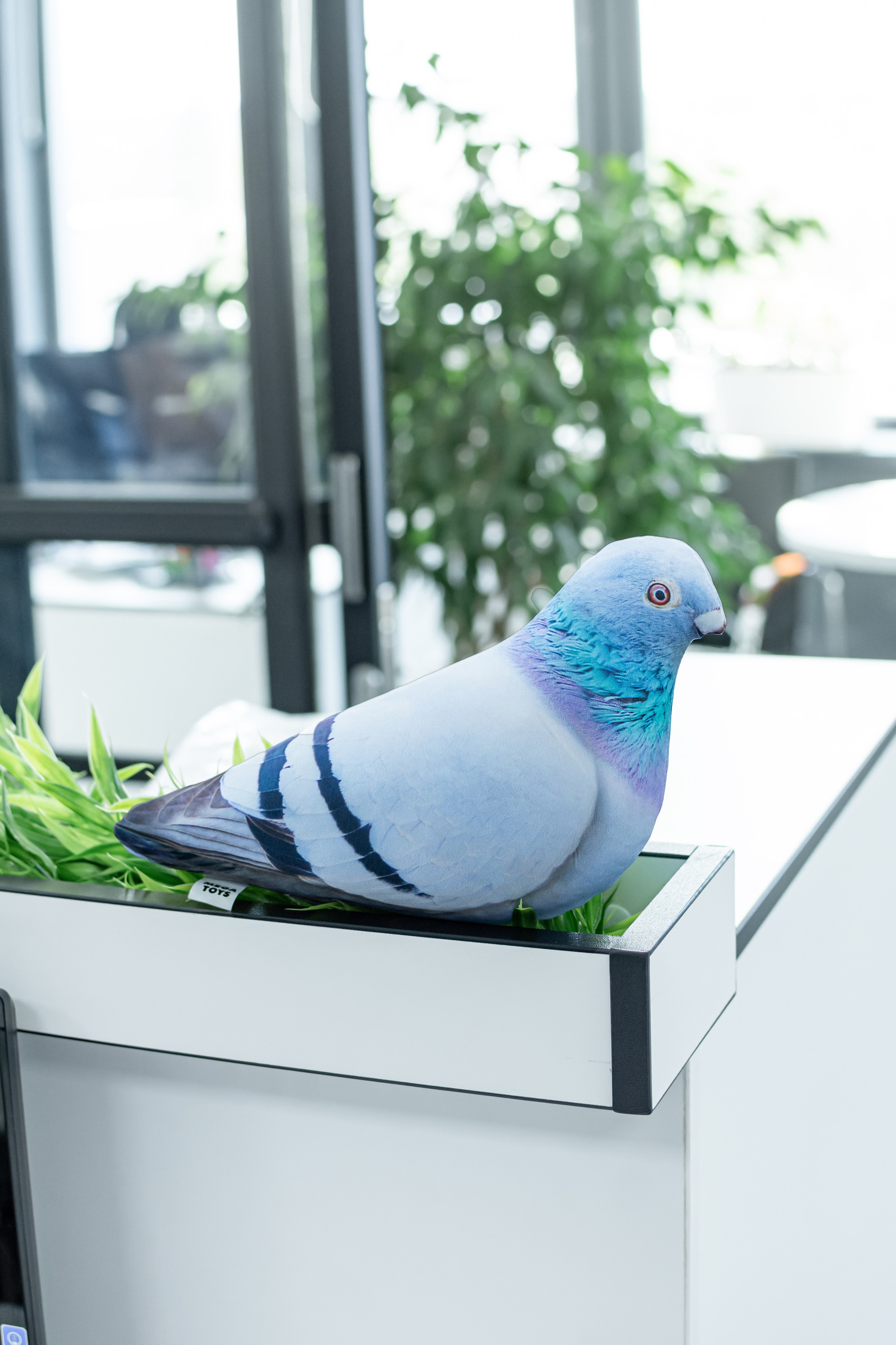 Антистрессы. Семейный и свадебный фотограф Галина Абакумова, фотосессии в Белгороде