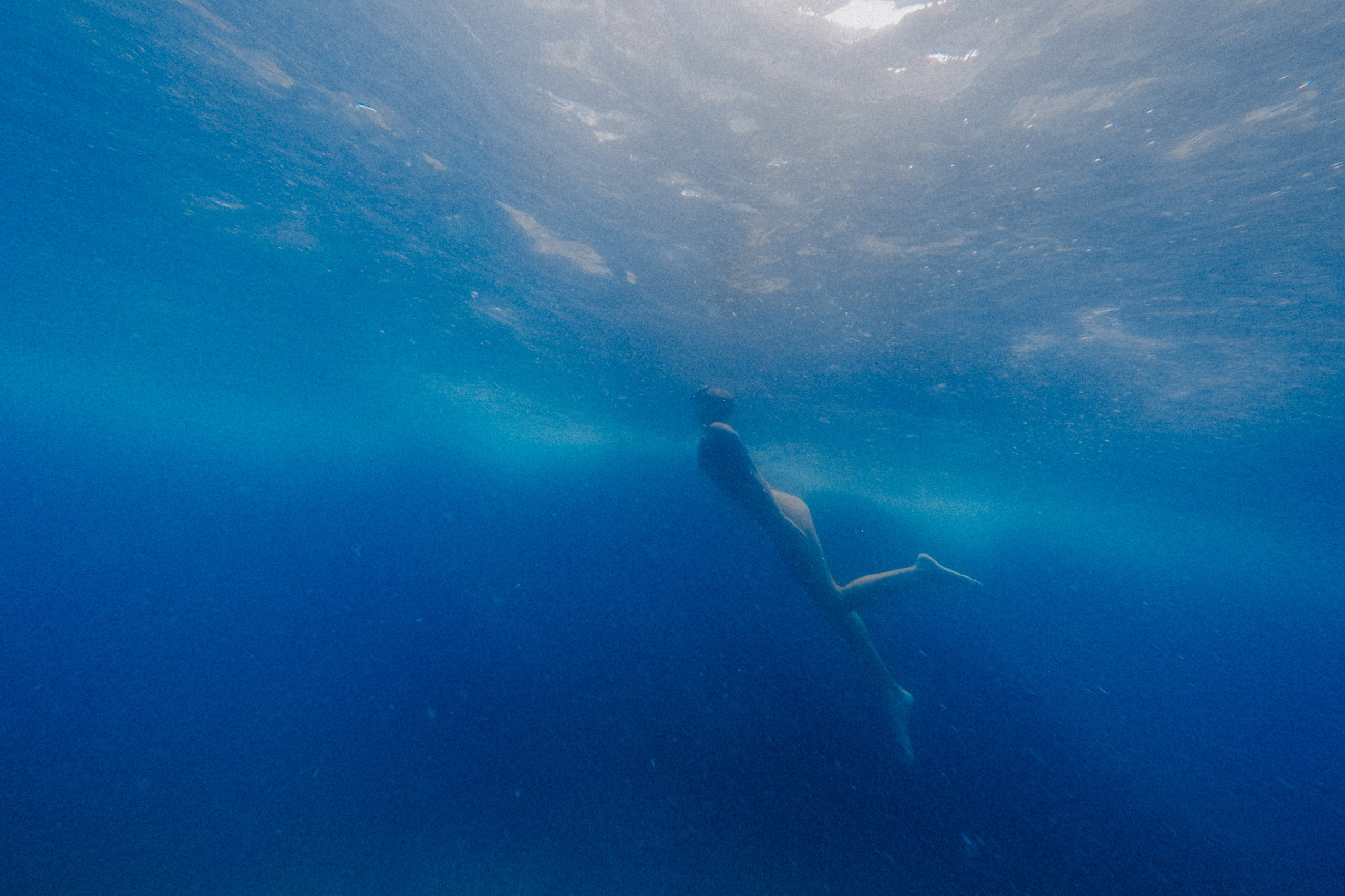 Commercial. Свадебный фотограф Грузия Alex and Polly