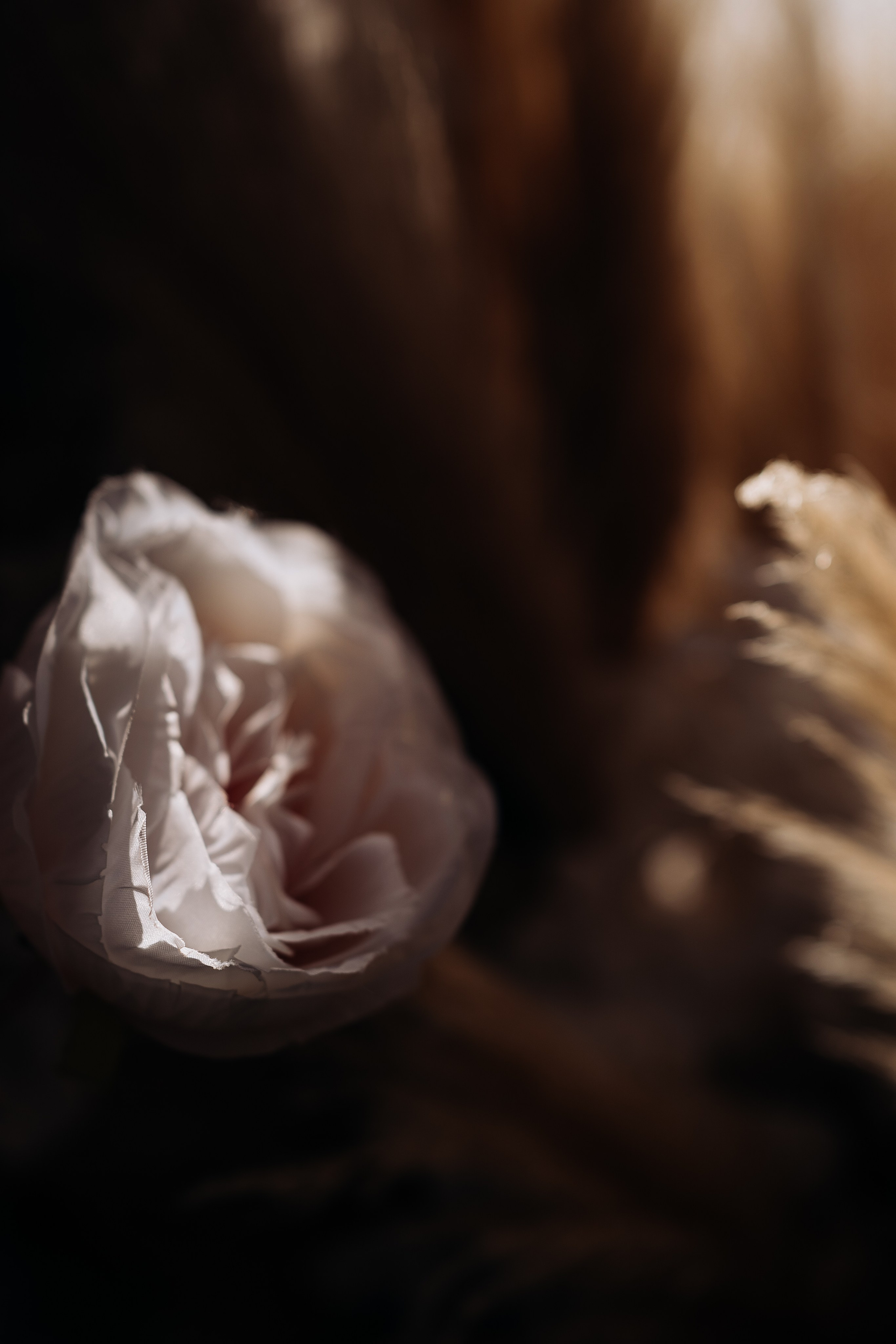 Ярославна и Артём. Фотограф Тверь. Анна Драго