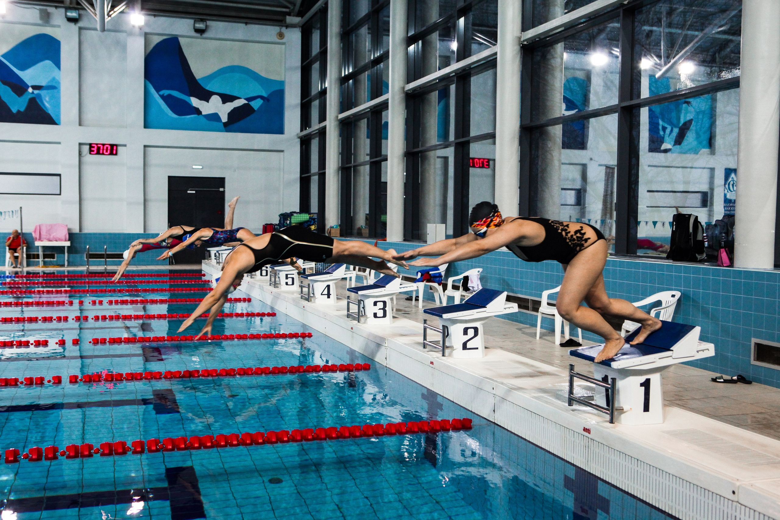 Соревнования по плаванию. Репортажный, семейный, свадебный, портретный фотограф