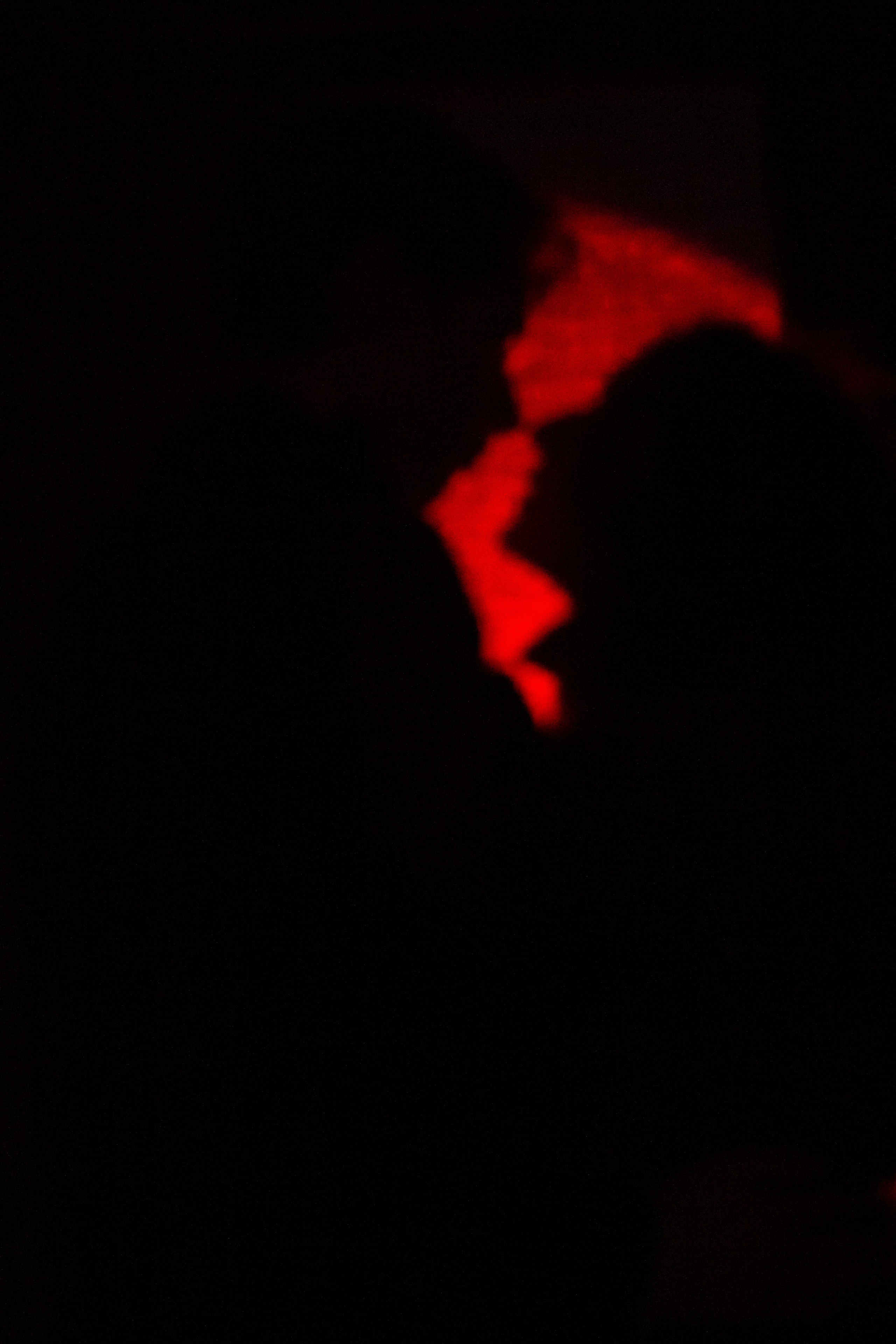 Настя и Дима. Фотограф в Санкт-Петербурге Смирнова Диана