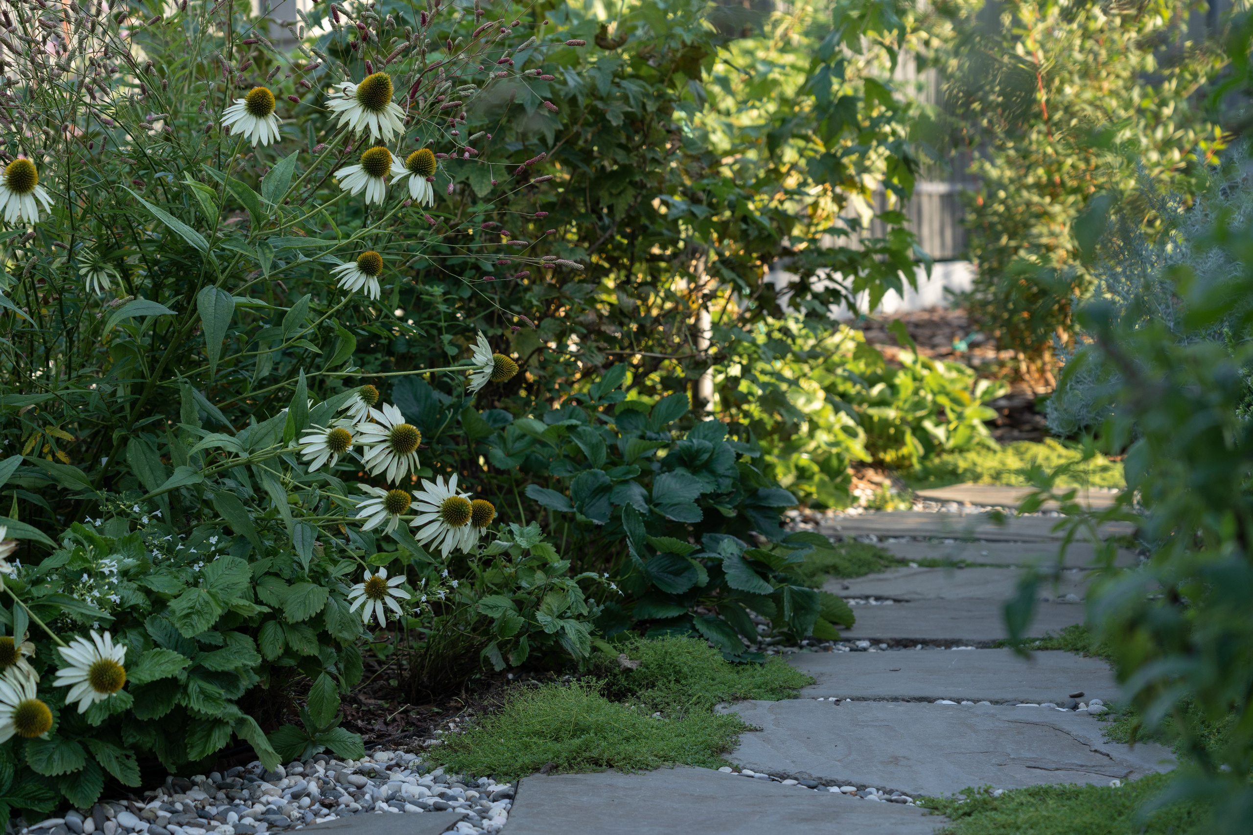 Framed landscape. Артамонов Александр | Архитектурный и ландшафтный фотограф