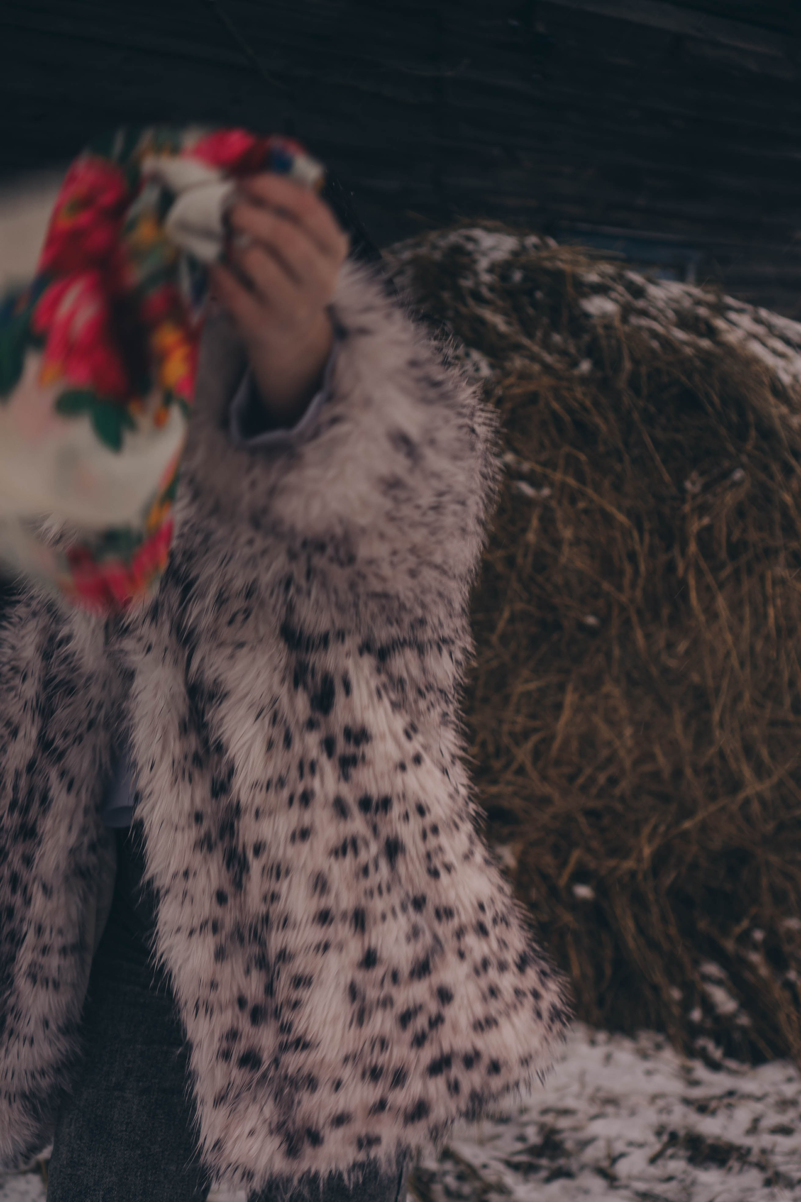 Деревня. Профессиональный фотограф, Санкт-Петербург — Виктория Богомолова