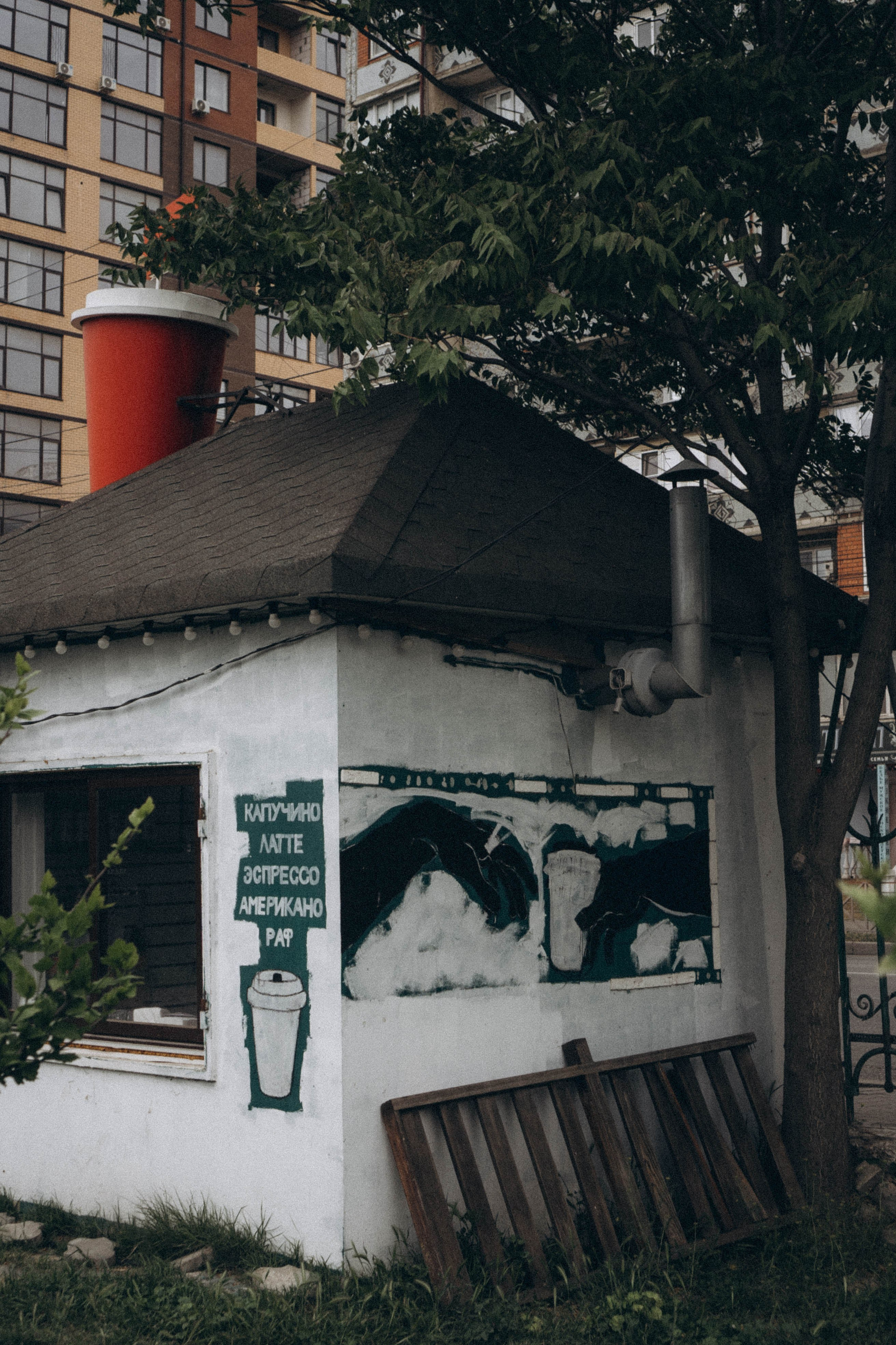 Кавказ. Профессиональный фотограф, Санкт-Петербург — Виктория Богомолова