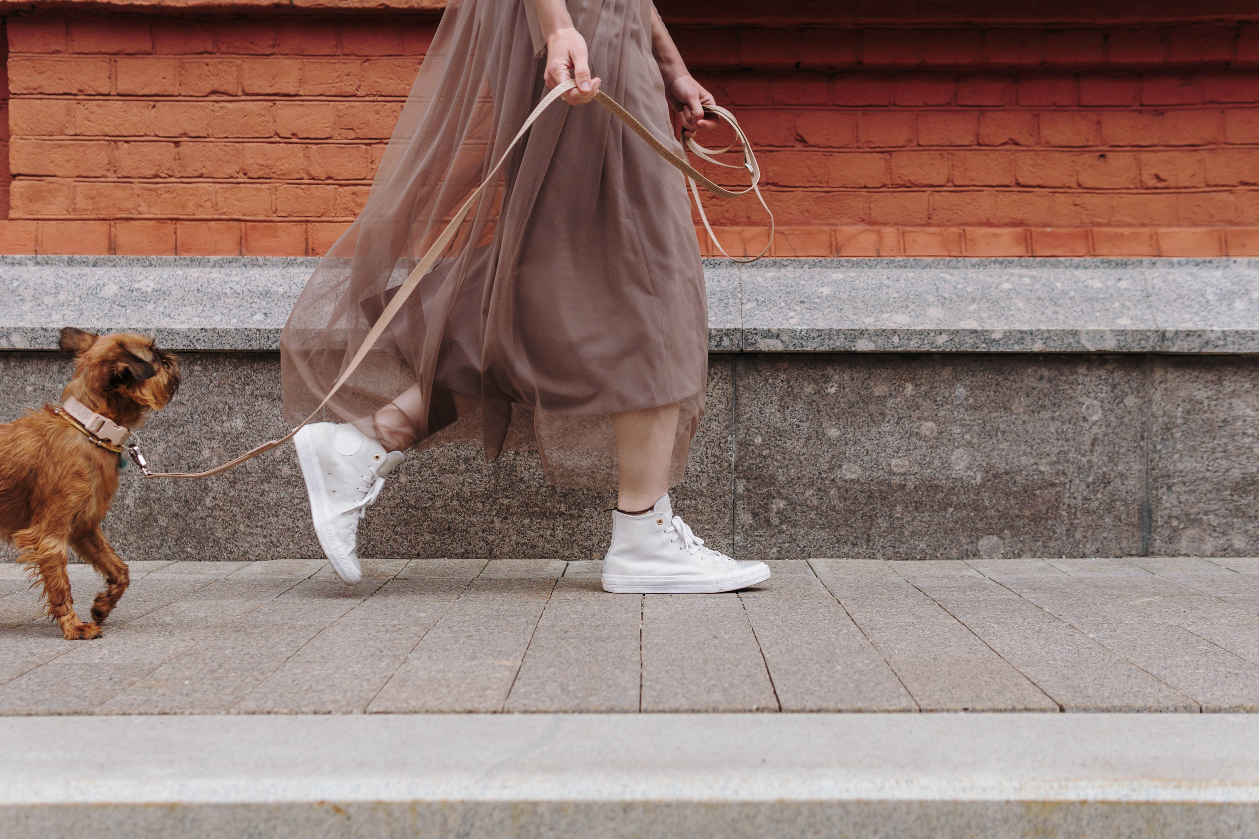 Наташа, Сережа и Хавьер. Фотограф-анималист Ксения Воробьева, Москва
