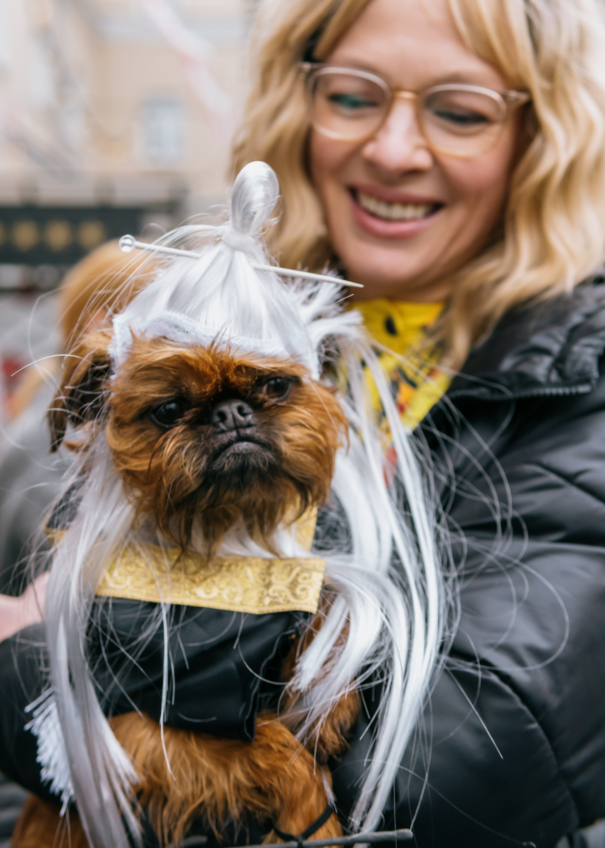 Тематическая встреча породников «Griffween». Фотограф-анималист Ксения Воробьева, Москва