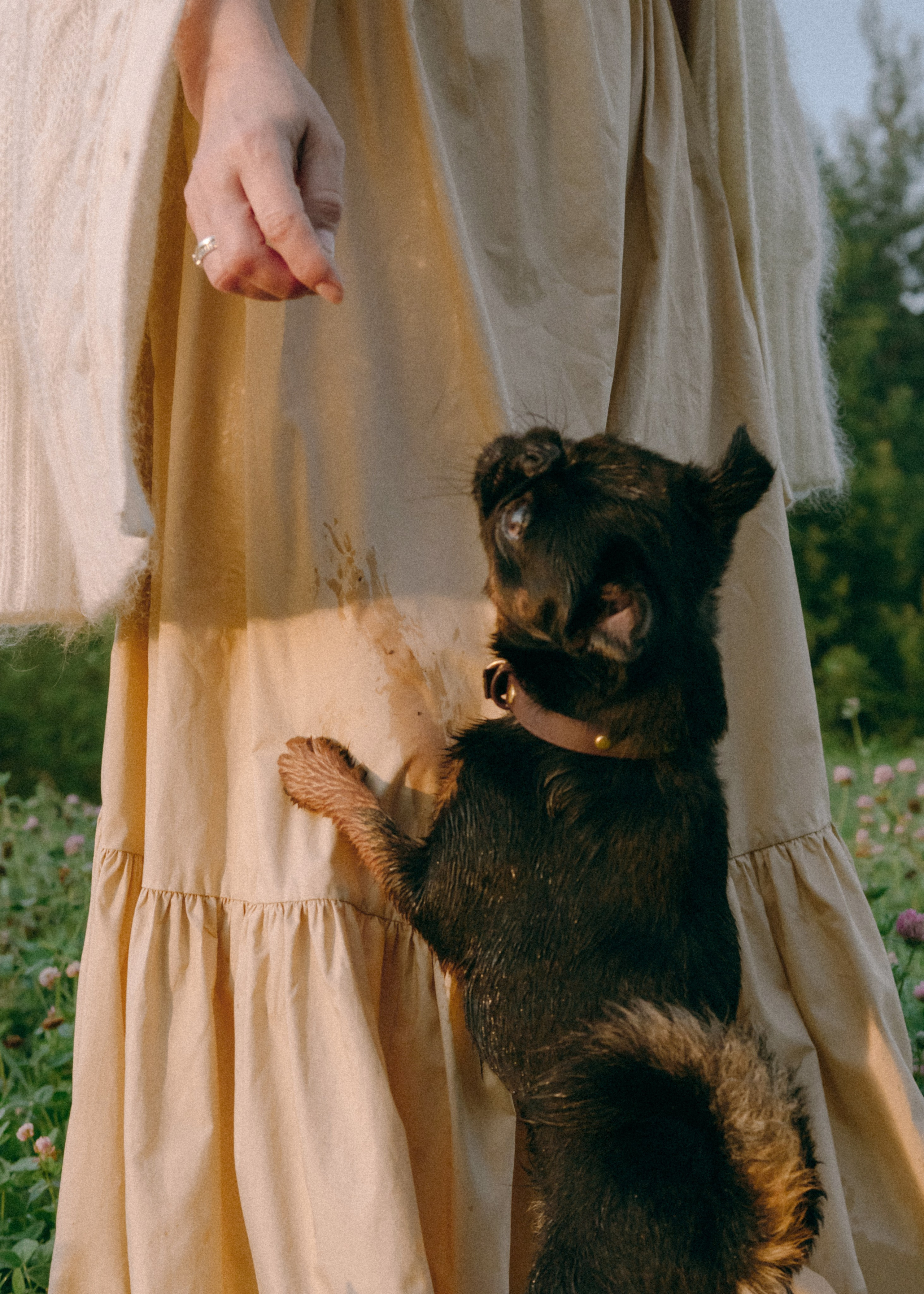 Оксана, Кирилл и Кеша. Фотограф-анималист Ксения Воробьева, Москва