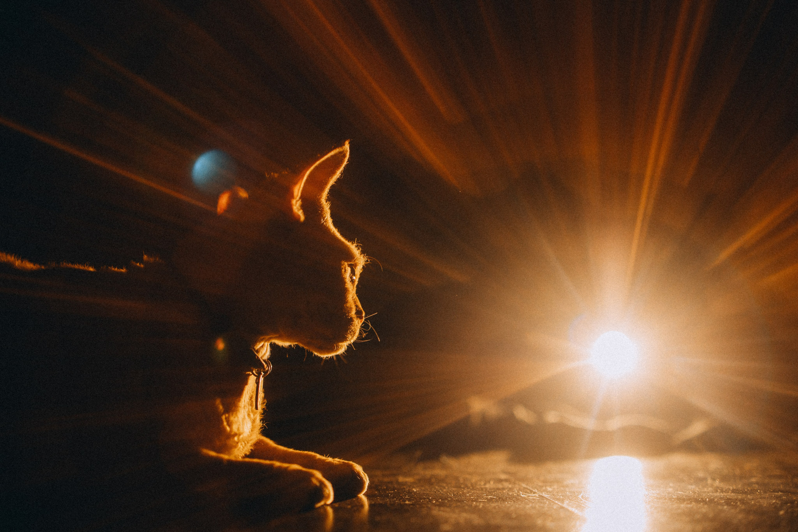 Гречка, Ковш и их семья