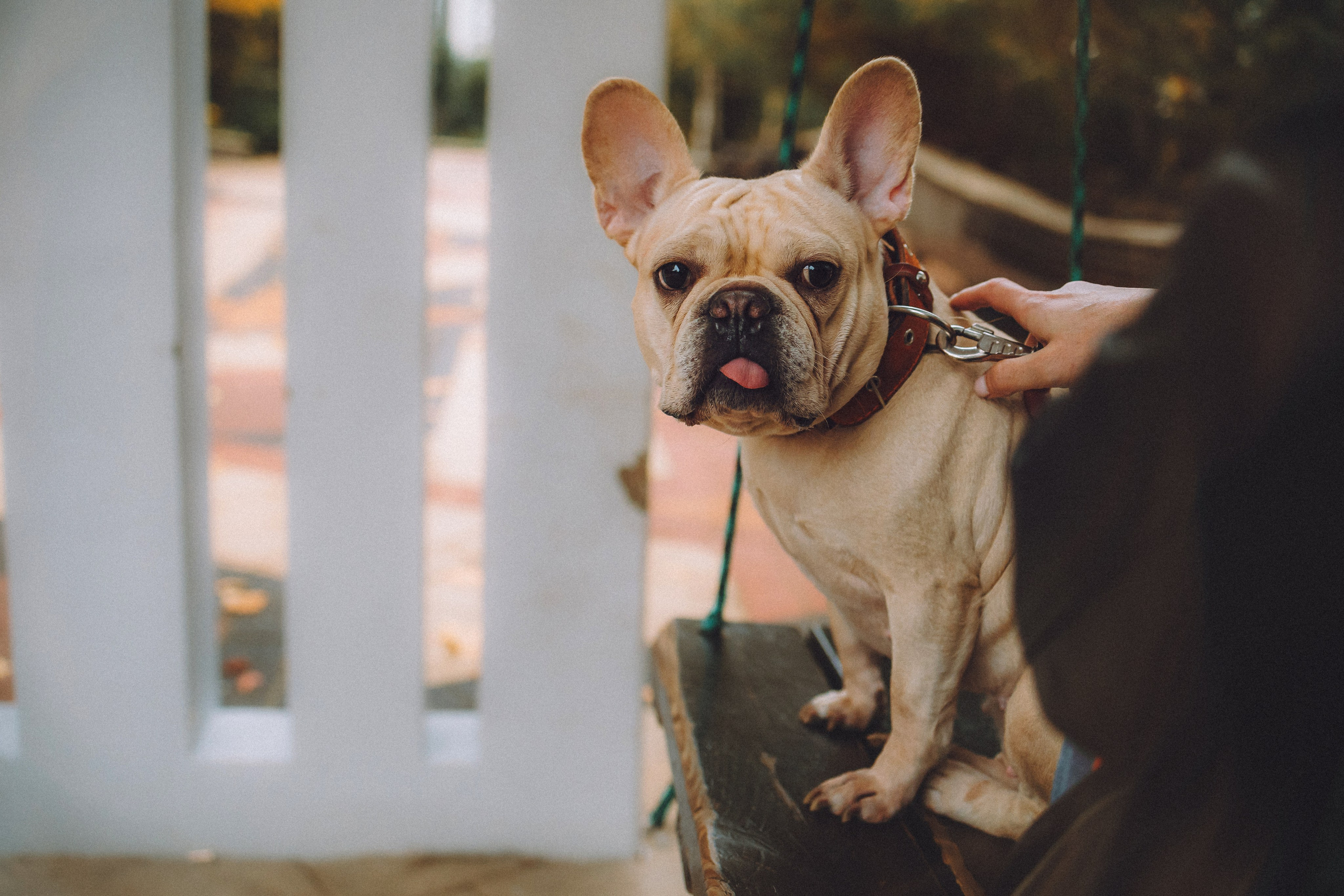 Антонина и Амиша