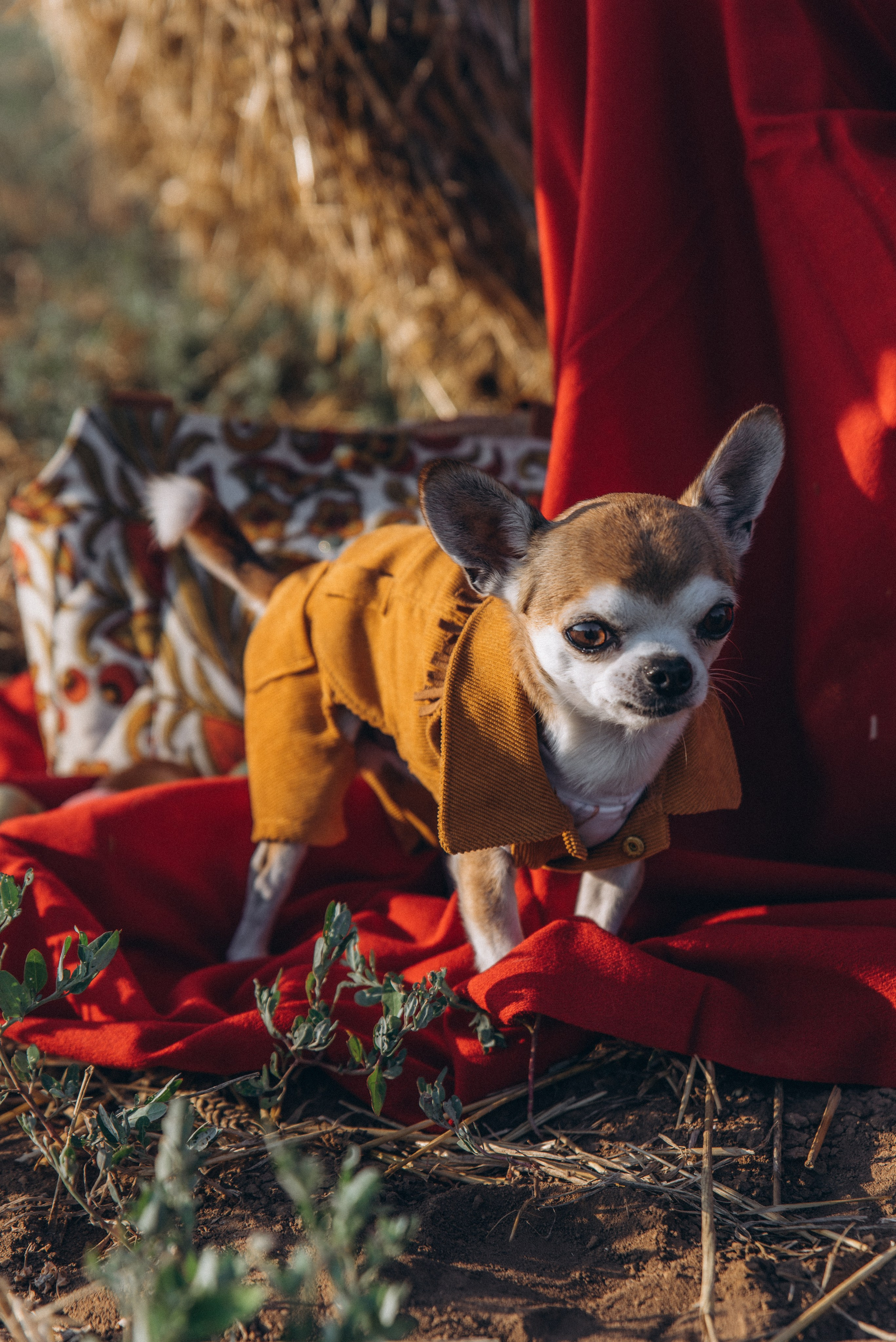 ЛЕНА. Ольга Козлова фотограф Волгоград olkiny-fotki.ru