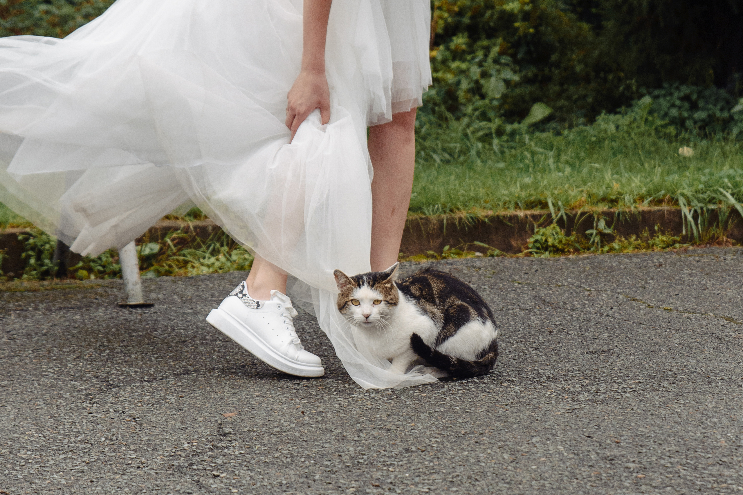 07.09.19. Свадебный фотограф во Владивостоке Гарагуля Игорь