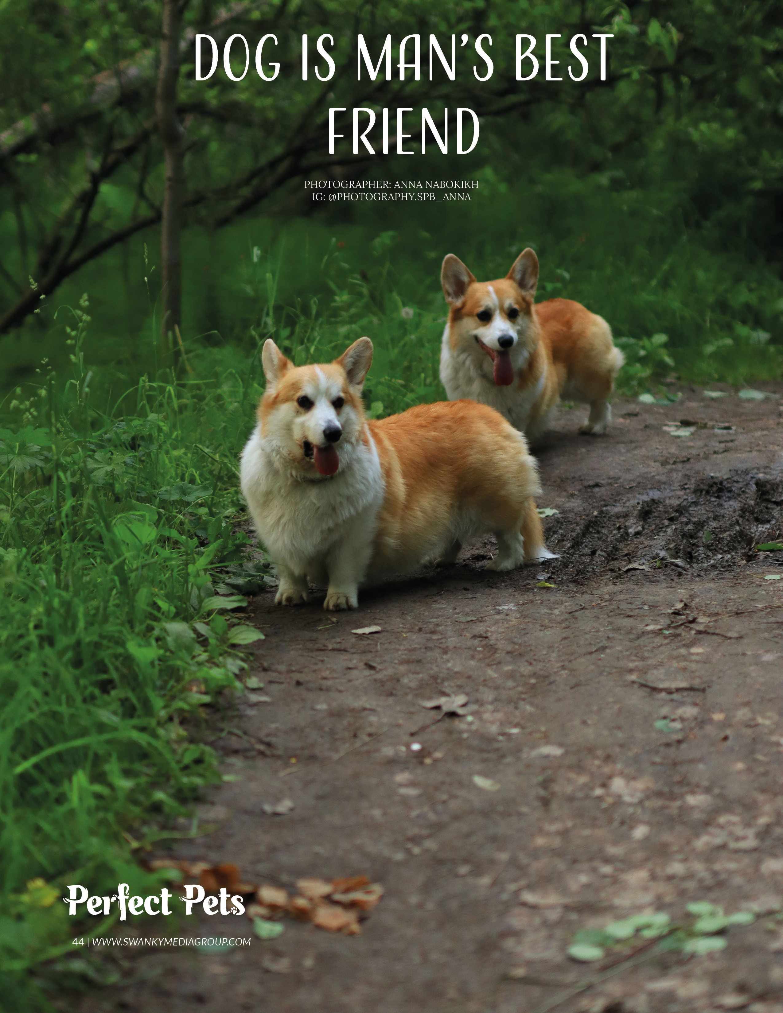 Мои работы в журналах. Фотограф в Санкт-Петербурге Анна Набоких