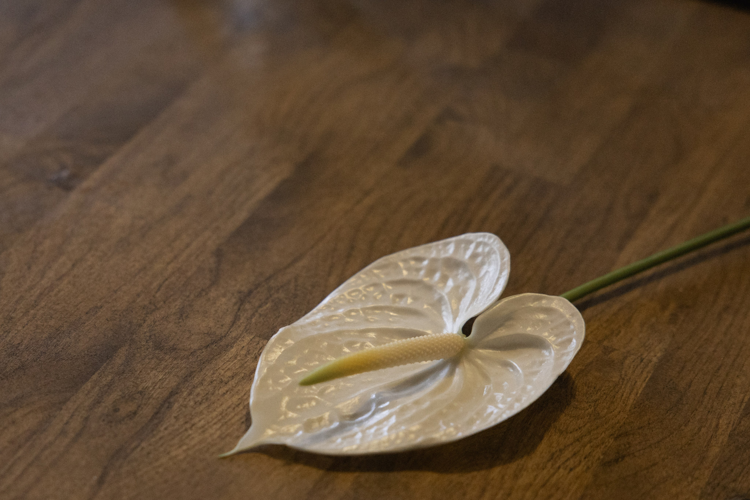 Утро невесты. Свадебный, портретный и семейный фотограф в Москве Абукалиева Диляра