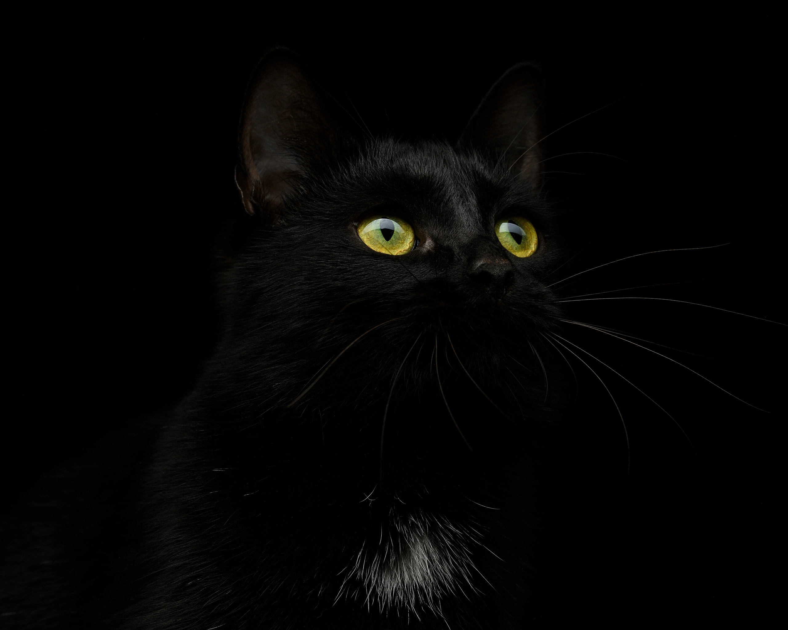 Студийные съемки. Портретный фотограф в Челябинске Катерина Руди