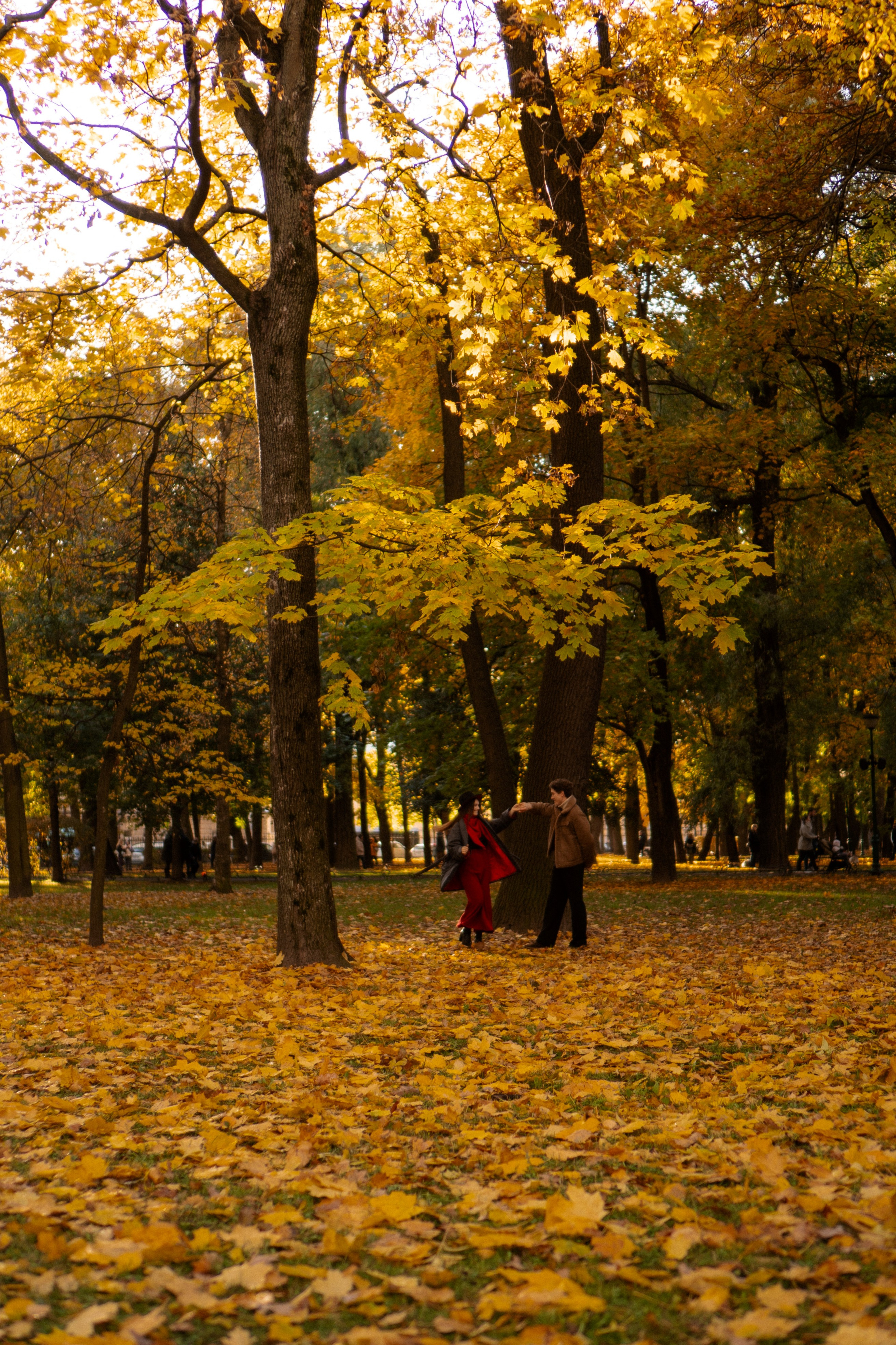 ОСЕННЯЯ ПРОГУЛКА. Профессиональный фотограф, Санкт-Петербург — Виктория Богомолова