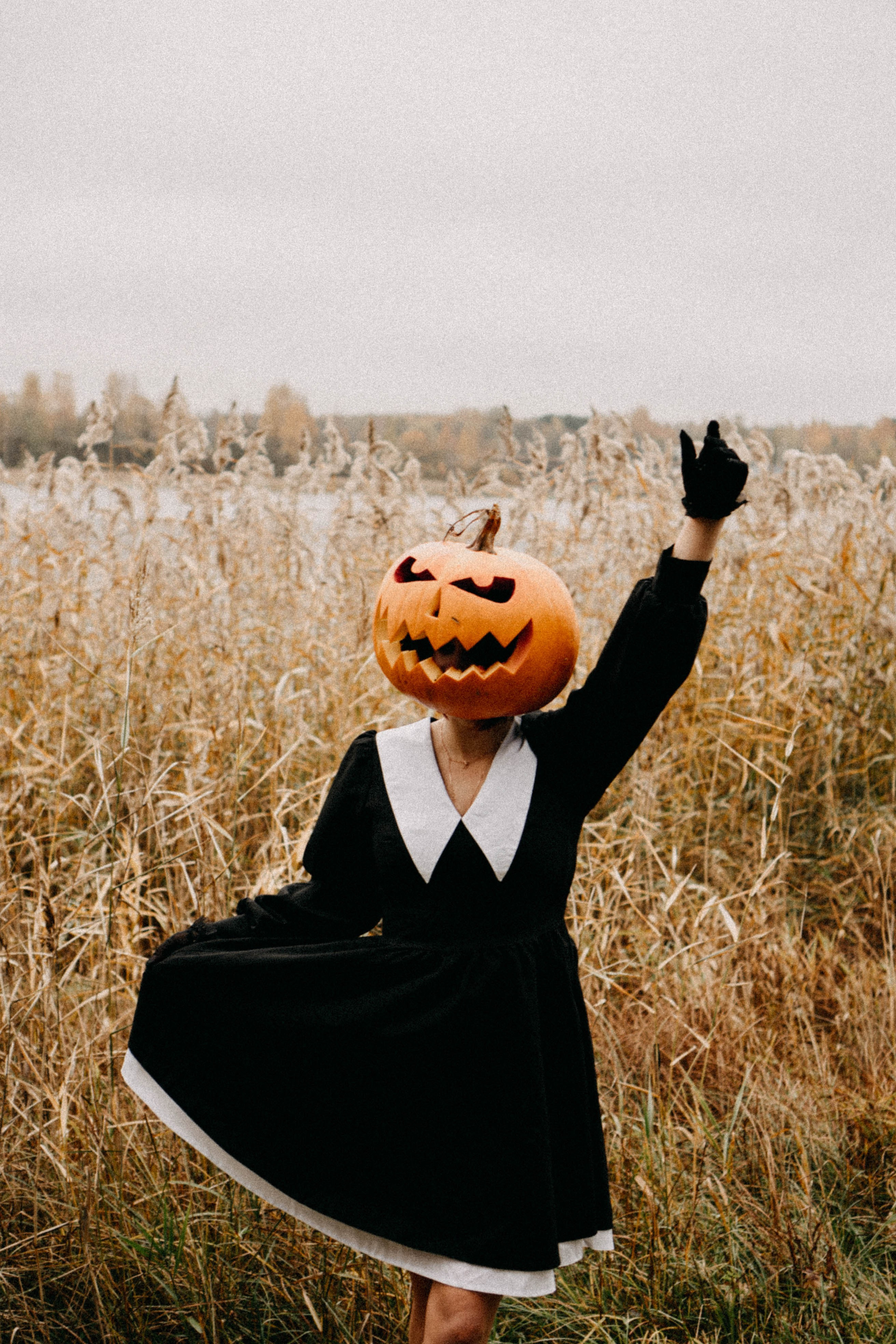 Осеняя. Профессиональный фотограф, Санкт-Петербург — Виктория Богомолова