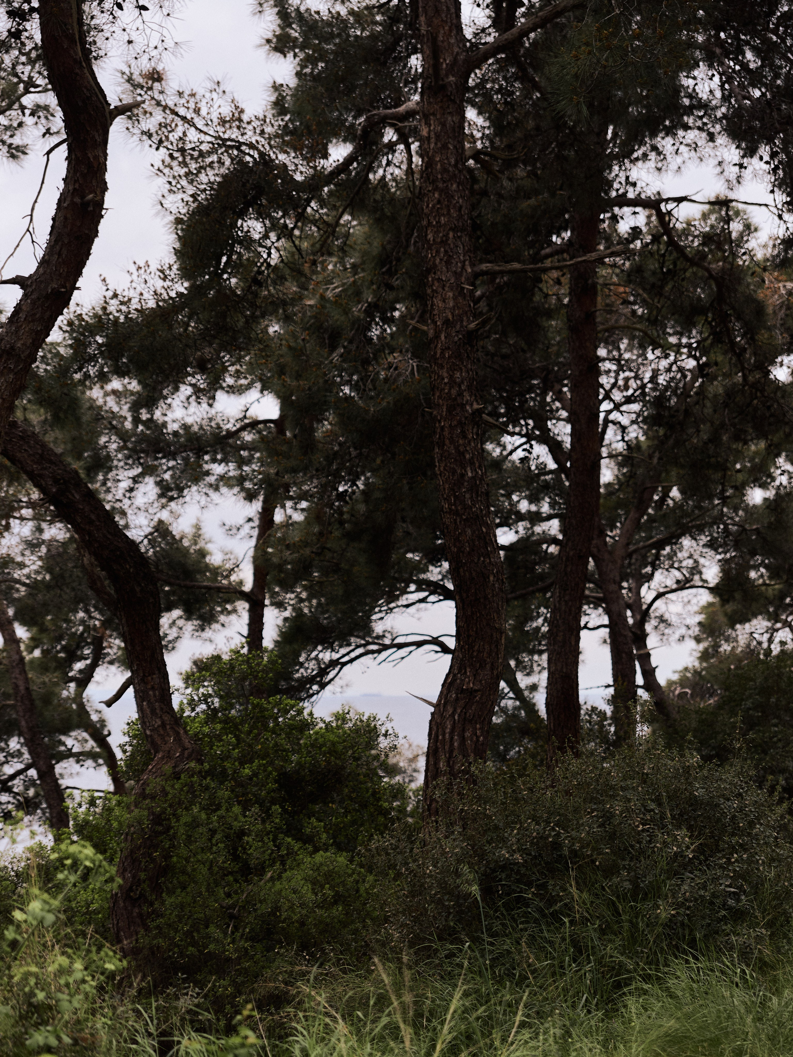 Природа. Jorgis Talè — photographer, kind person, teacher of arts and other mag