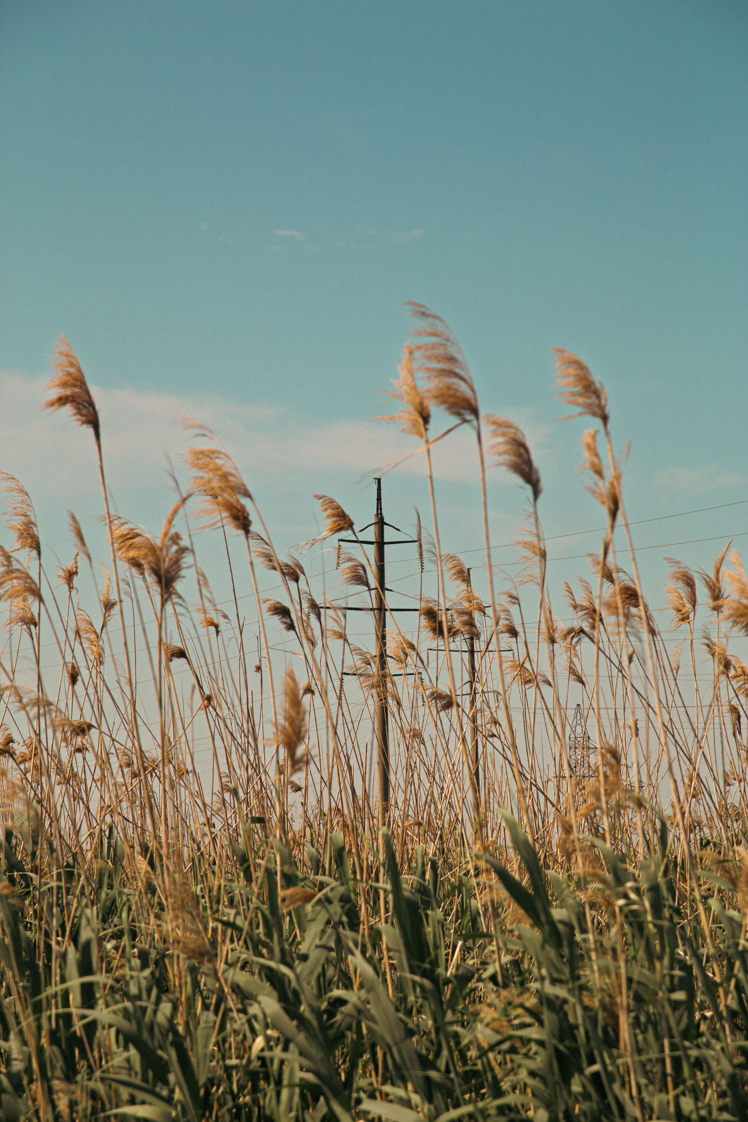 Новый Хушет. Dmitriy [KCCC] is a pretty cool photographer