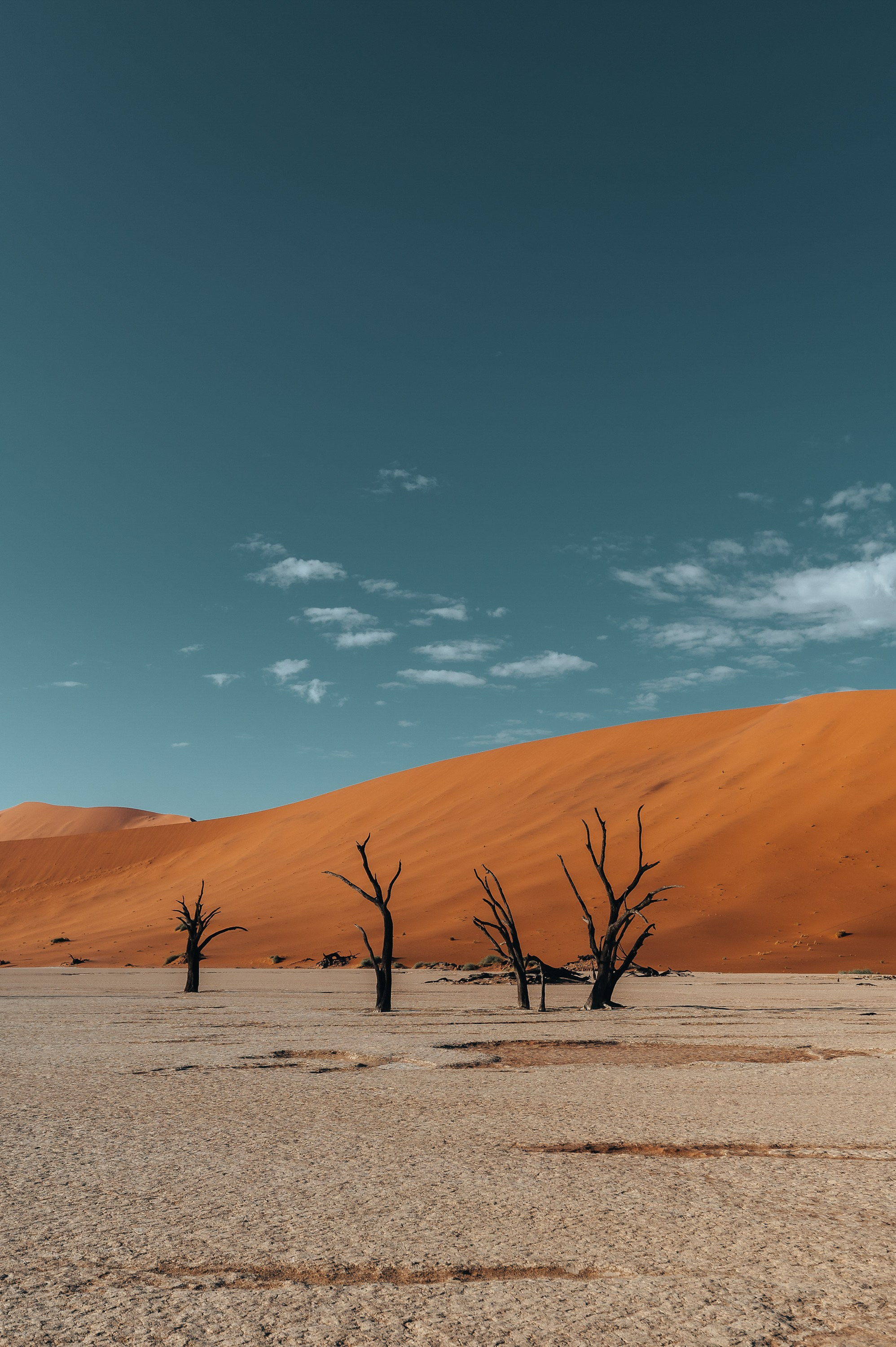 НАМИБИЯ. Роадтрип