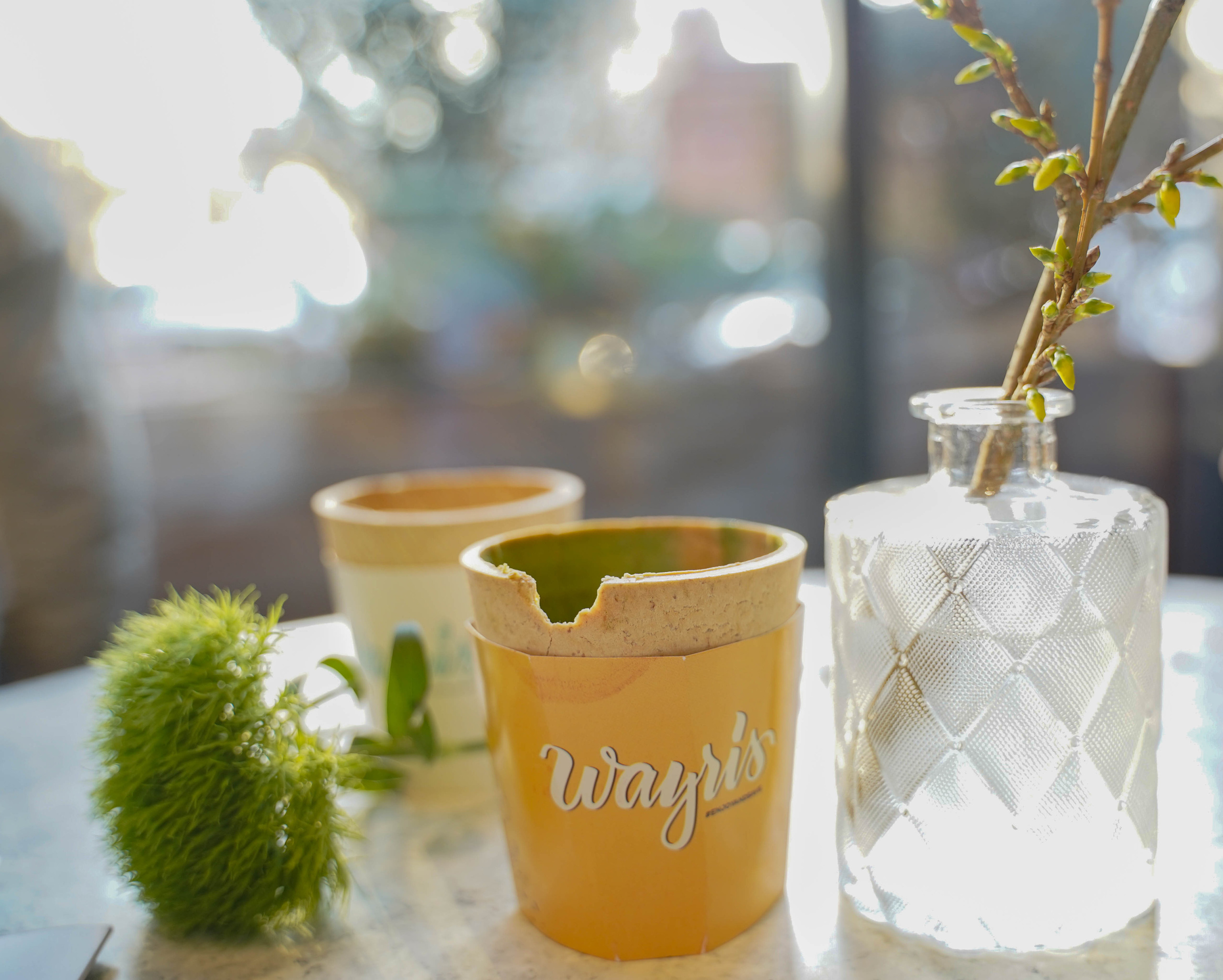 Контент фотосессии. Марина Моргацкая фотограф Москва