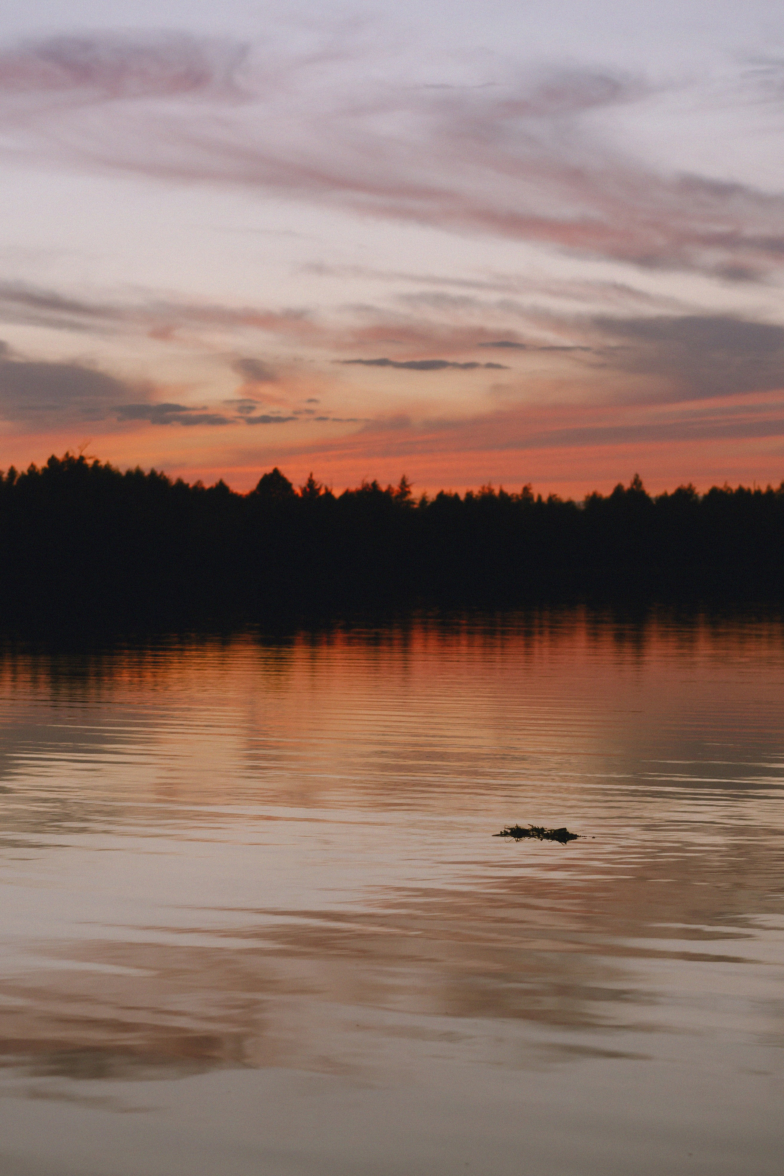 Девушки праздновали Купалу. Фотограф Надежда Погребняк | Рязань | Москва