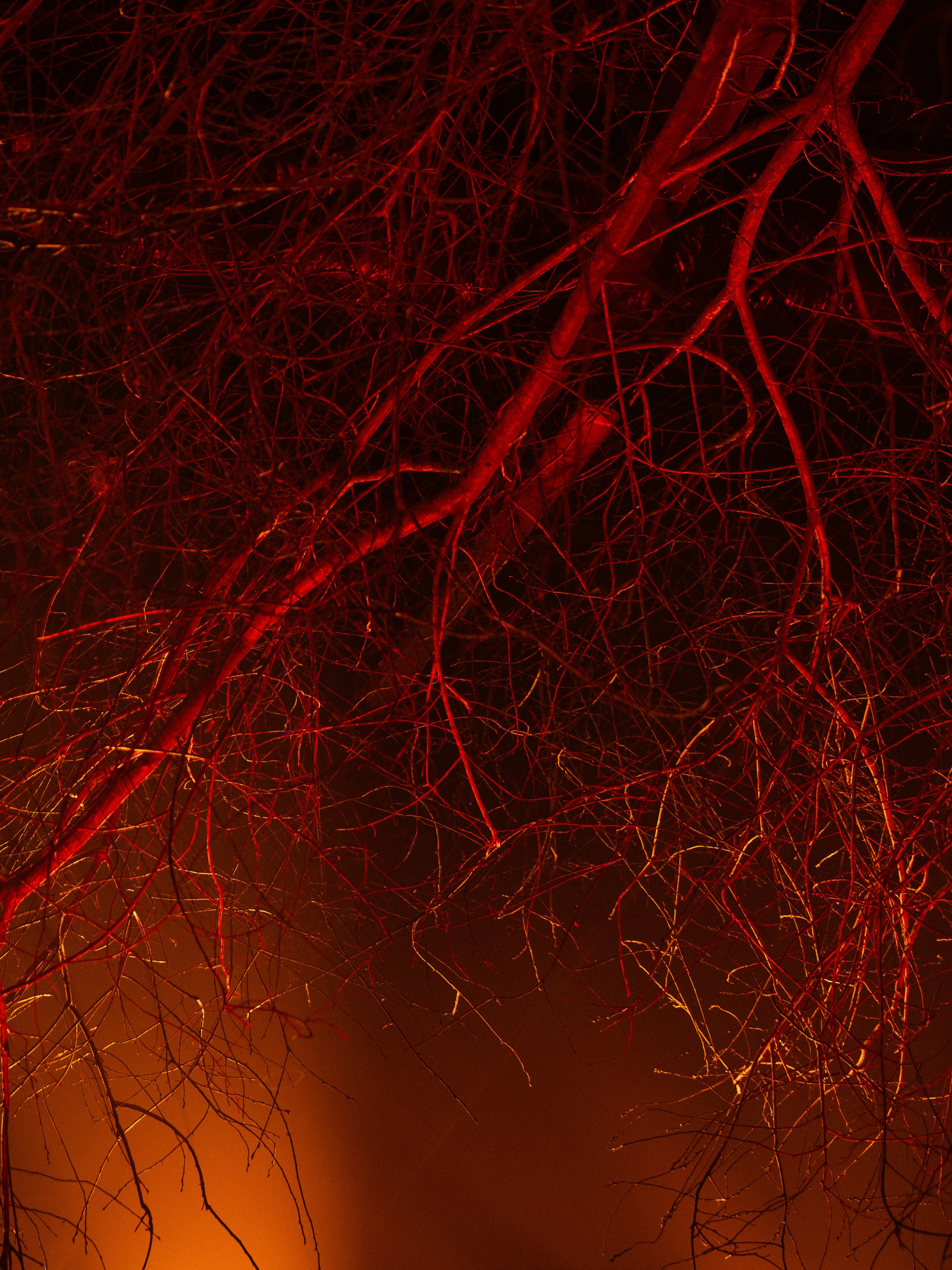 Wedding Awards NW 2025. NesterovaMaria.ru