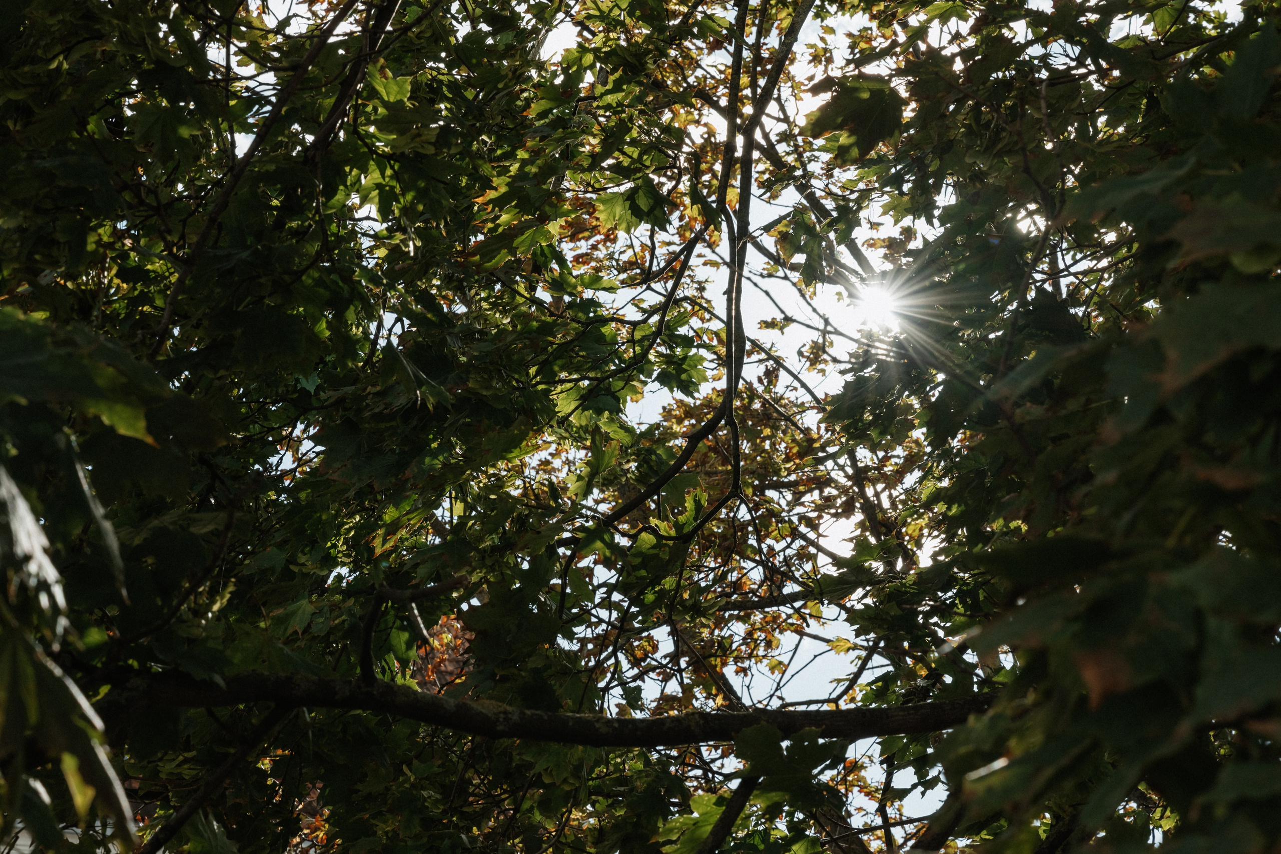 Ника и Кирилл. Свадебный и портретный фотограф в Минске Татьяна Лобода